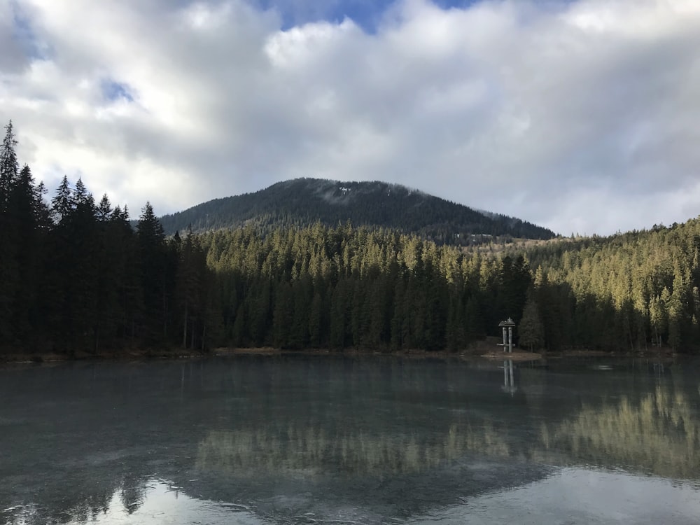 a body of water surrounded by trees and a mountain