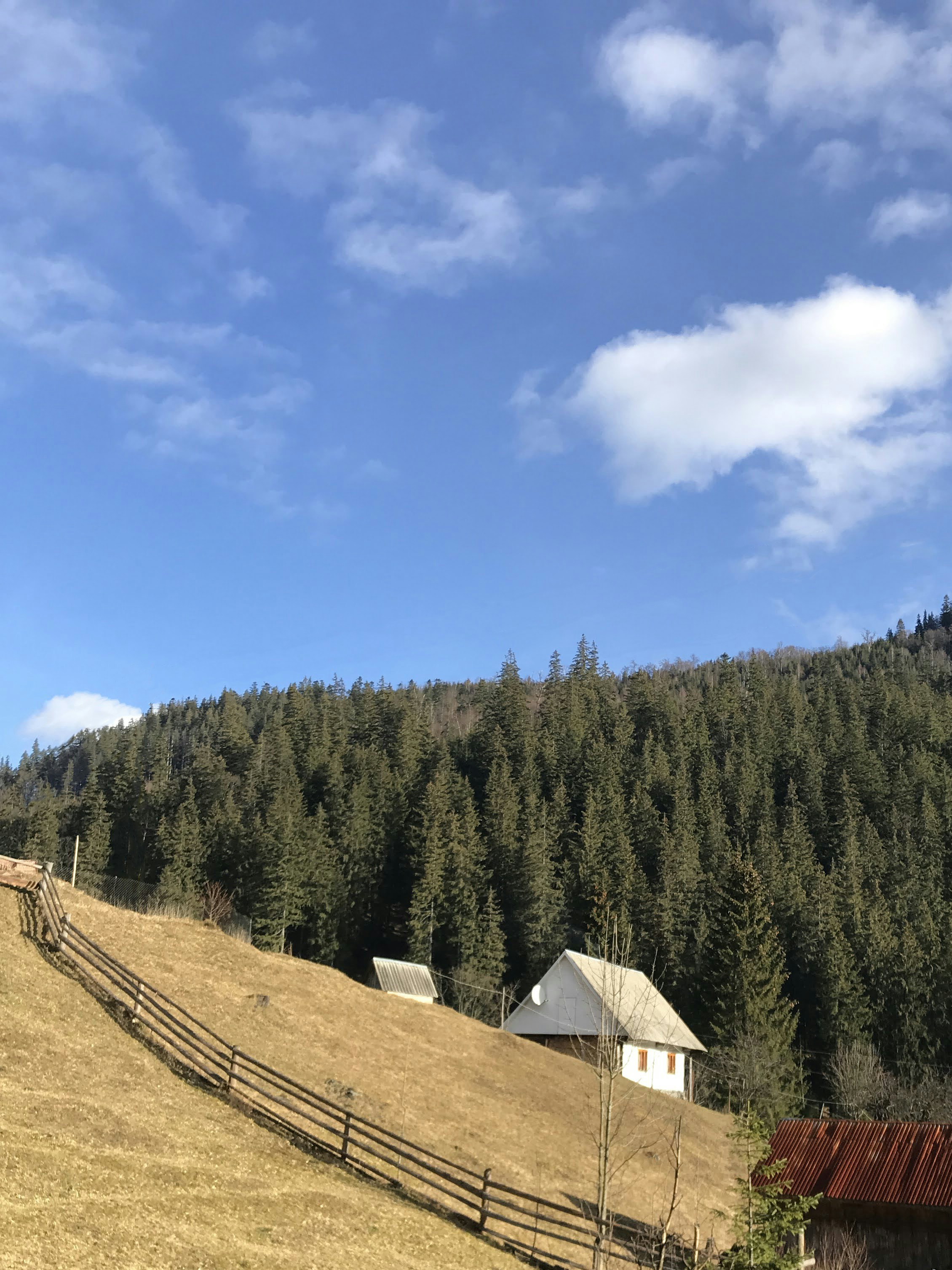 Photo by vadimmisyuchenko