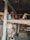 A rustic aviary with several parakeets perched on a wooden branch. The setting includes multiple wooden structures and nesting pods, with wire mesh enclosing the area. The lighting is dim, suggesting a shaded environment.