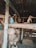 A rustic aviary with several parakeets perched on a wooden branch. The setting includes multiple wooden structures and nesting pods, with wire mesh enclosing the area. The lighting is dim, suggesting a shaded environment.