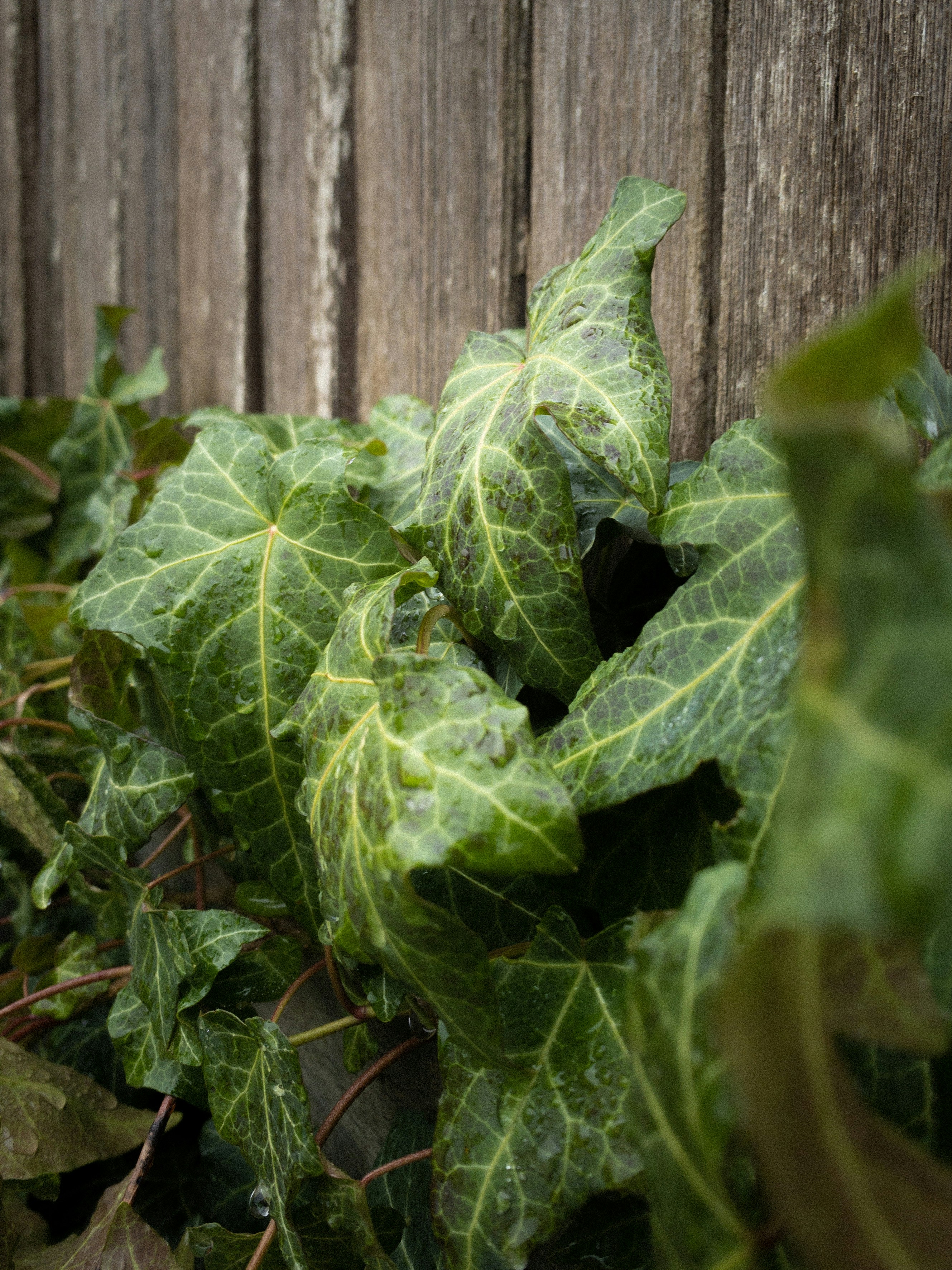 Photo by johanna_m_jordan_photography