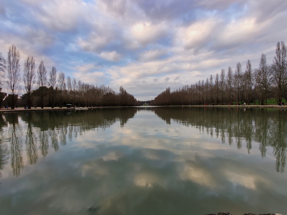 a large body of water surrounded by trees