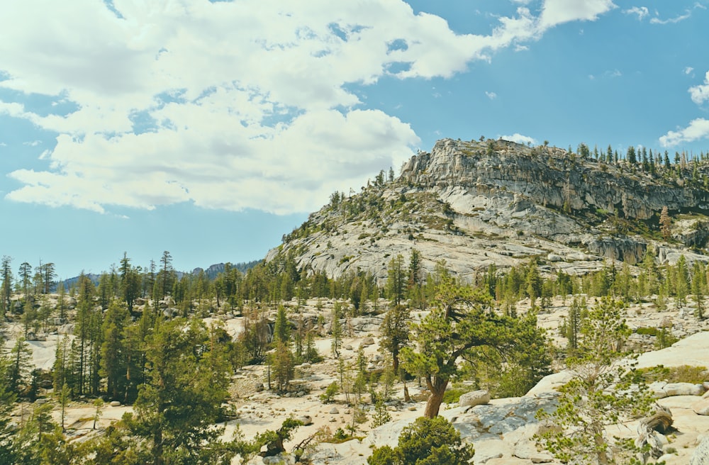 a mountain with trees and rocks under a cloudy blue sky