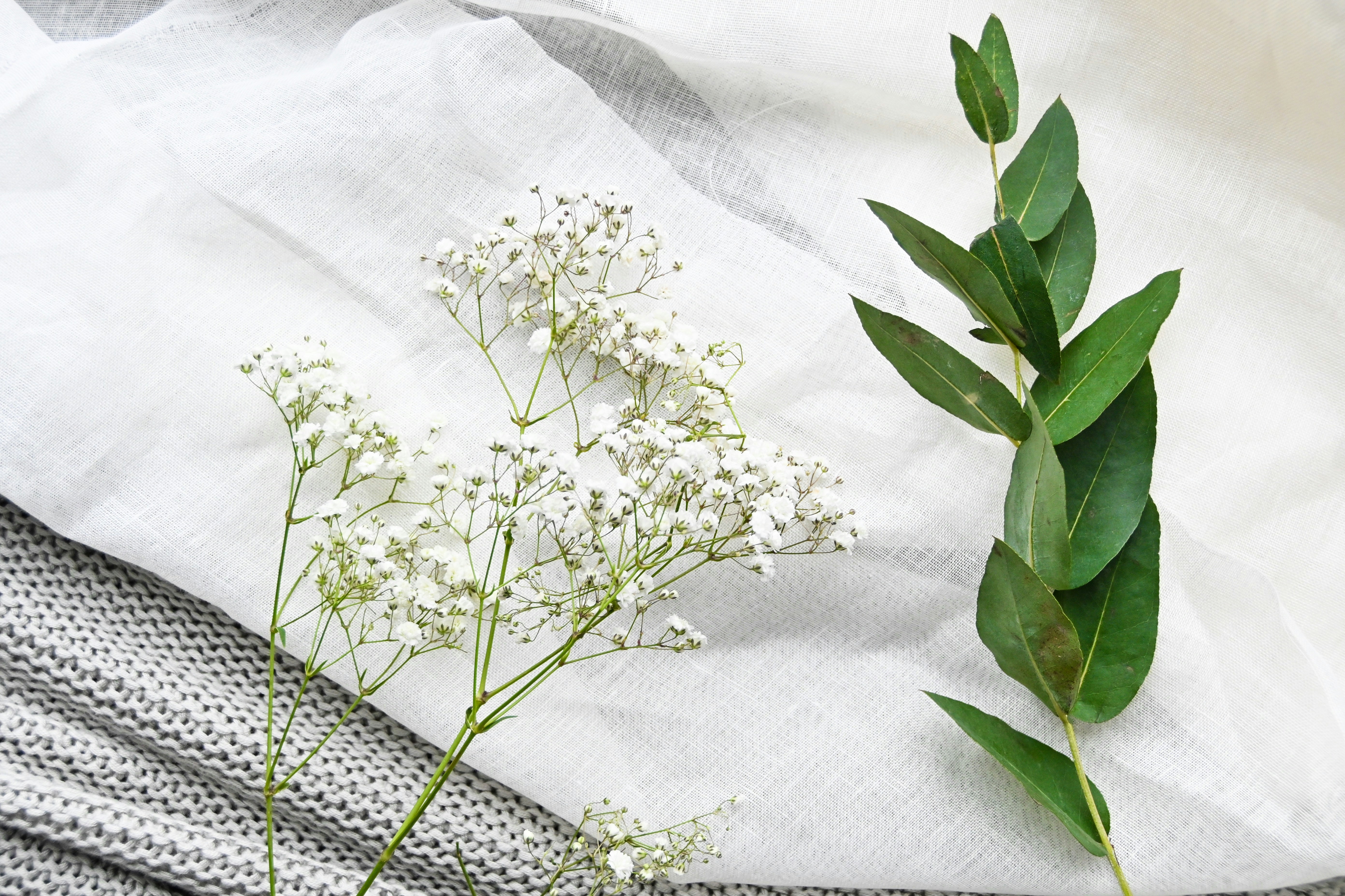 Fotomural a bunch of white flowers sitting on top of a table