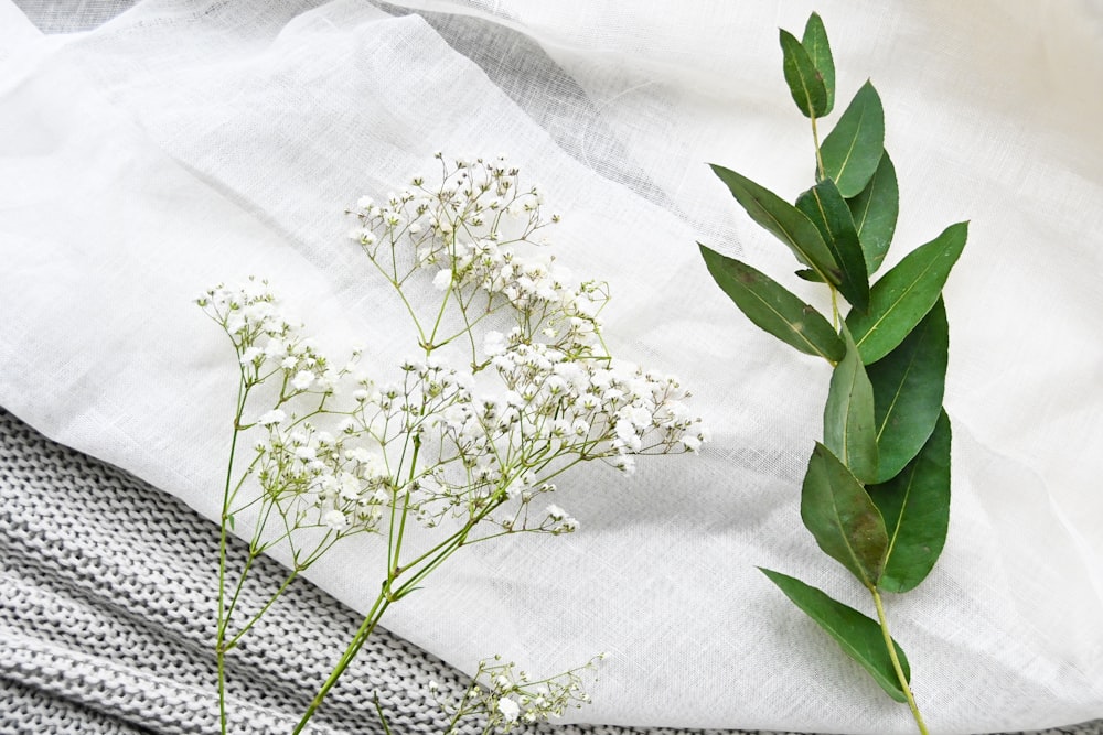 a bunch of white flowers sitting on top of a table