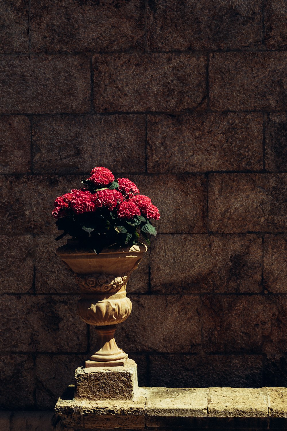 a vase filled with red flowers sitting on top of a stone wall
