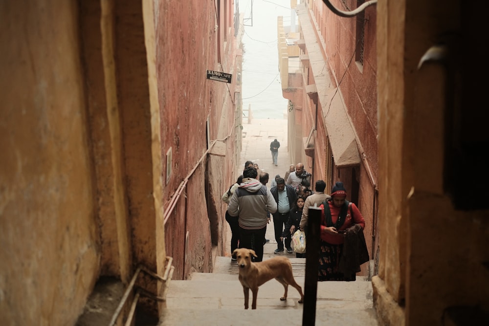 a group of people walking down a narrow alley way