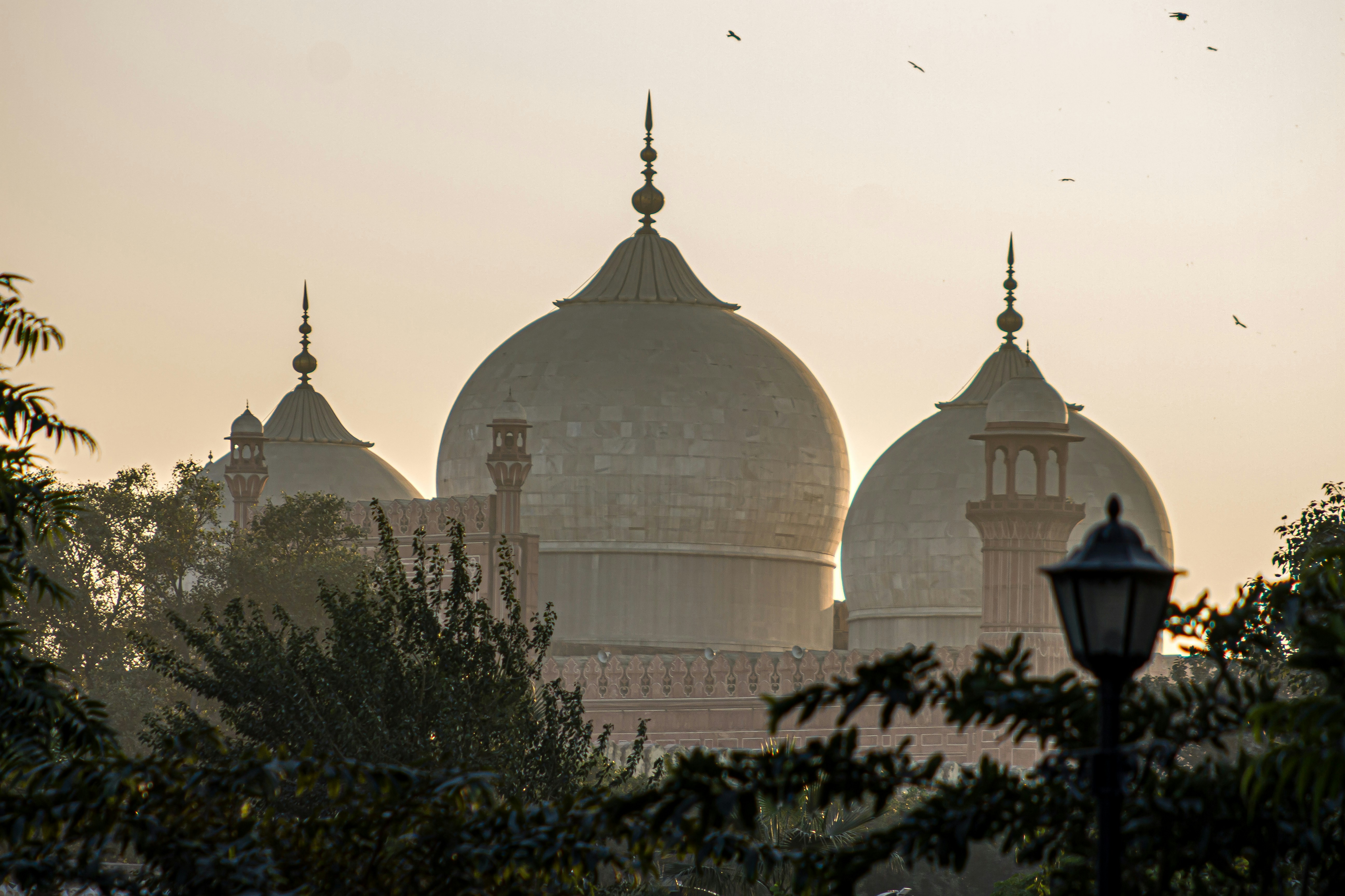 Photo by ughani
