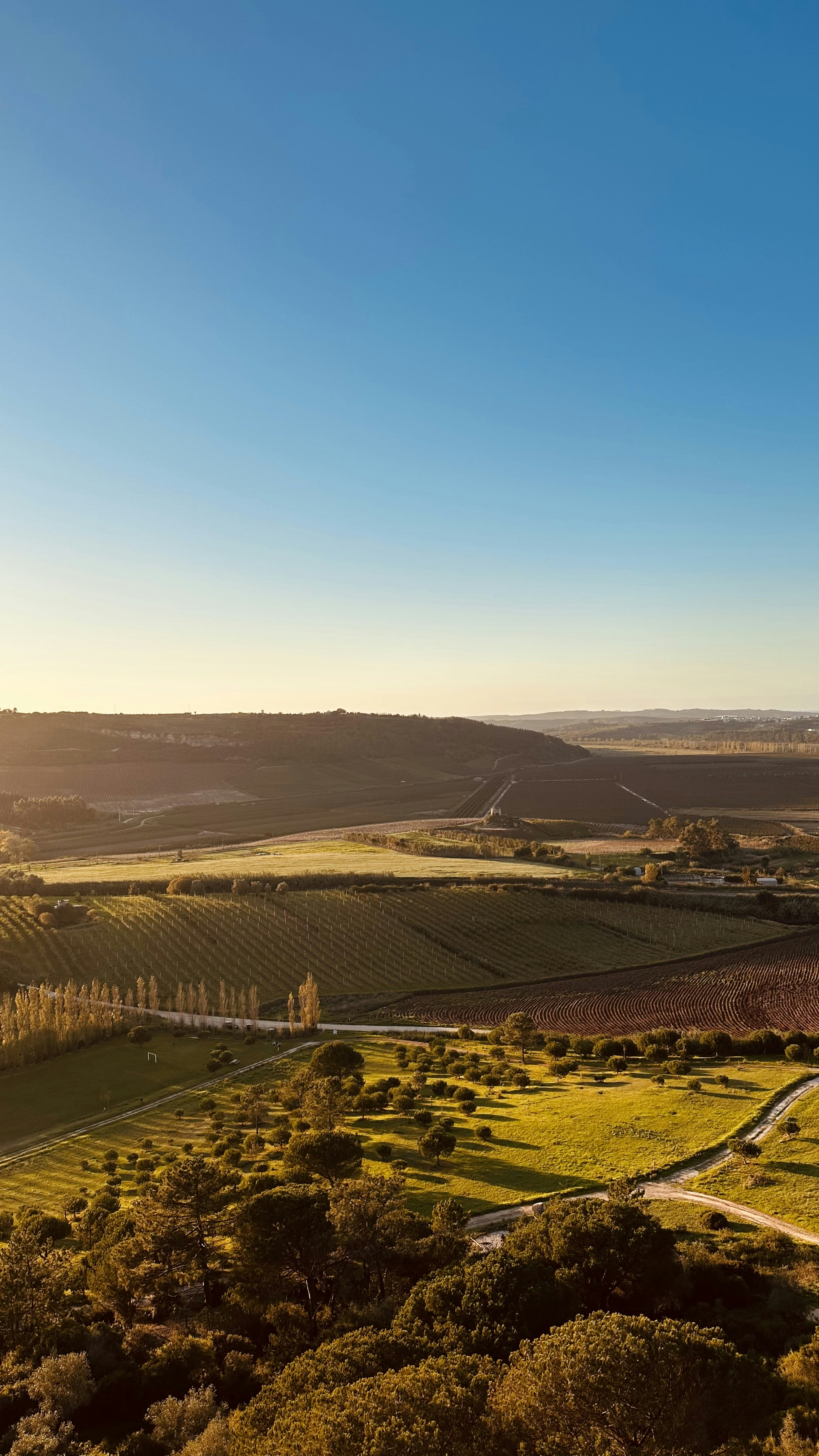 Photo by rodolfobarreto