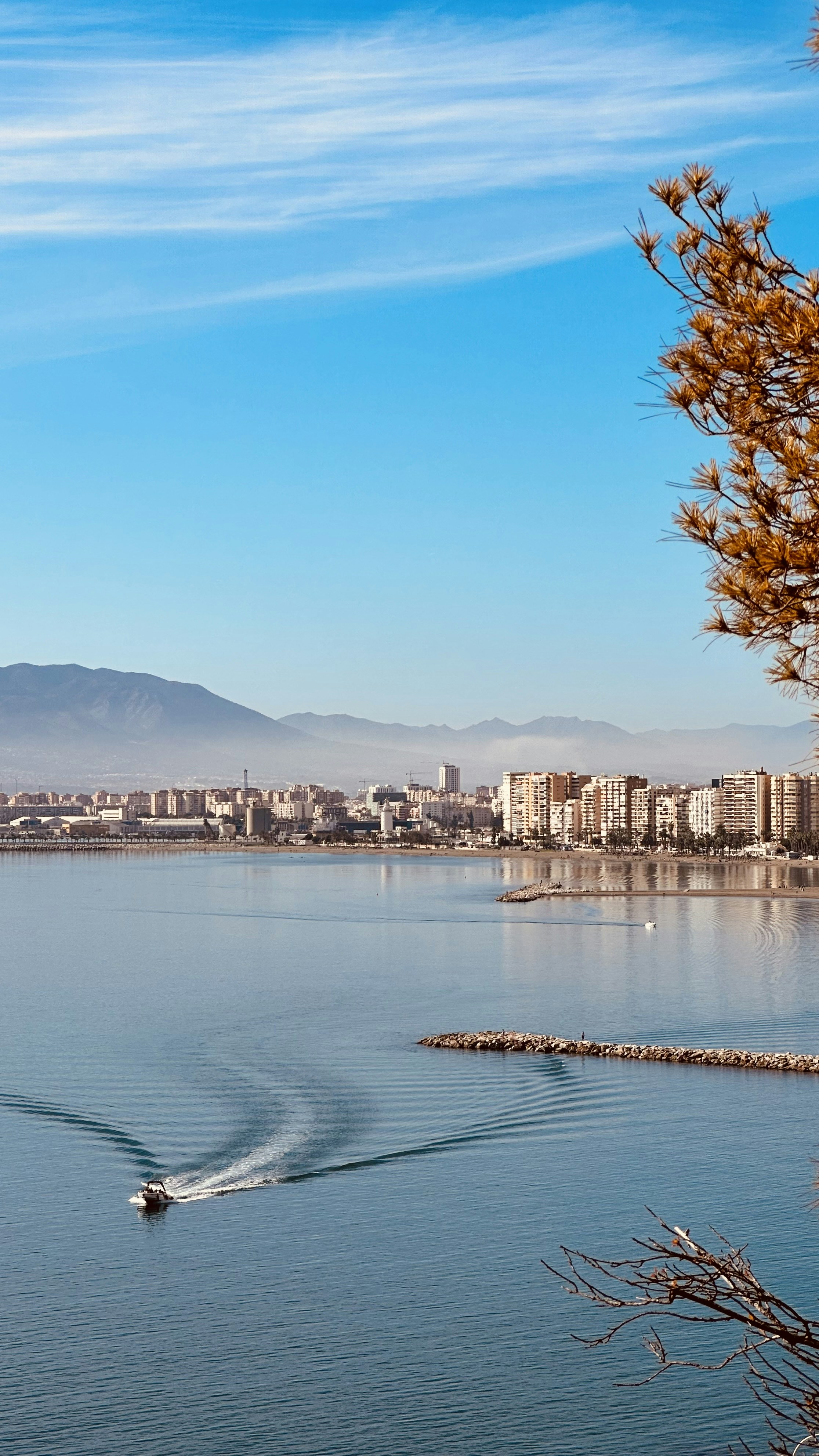 Photo by rodolfobarreto