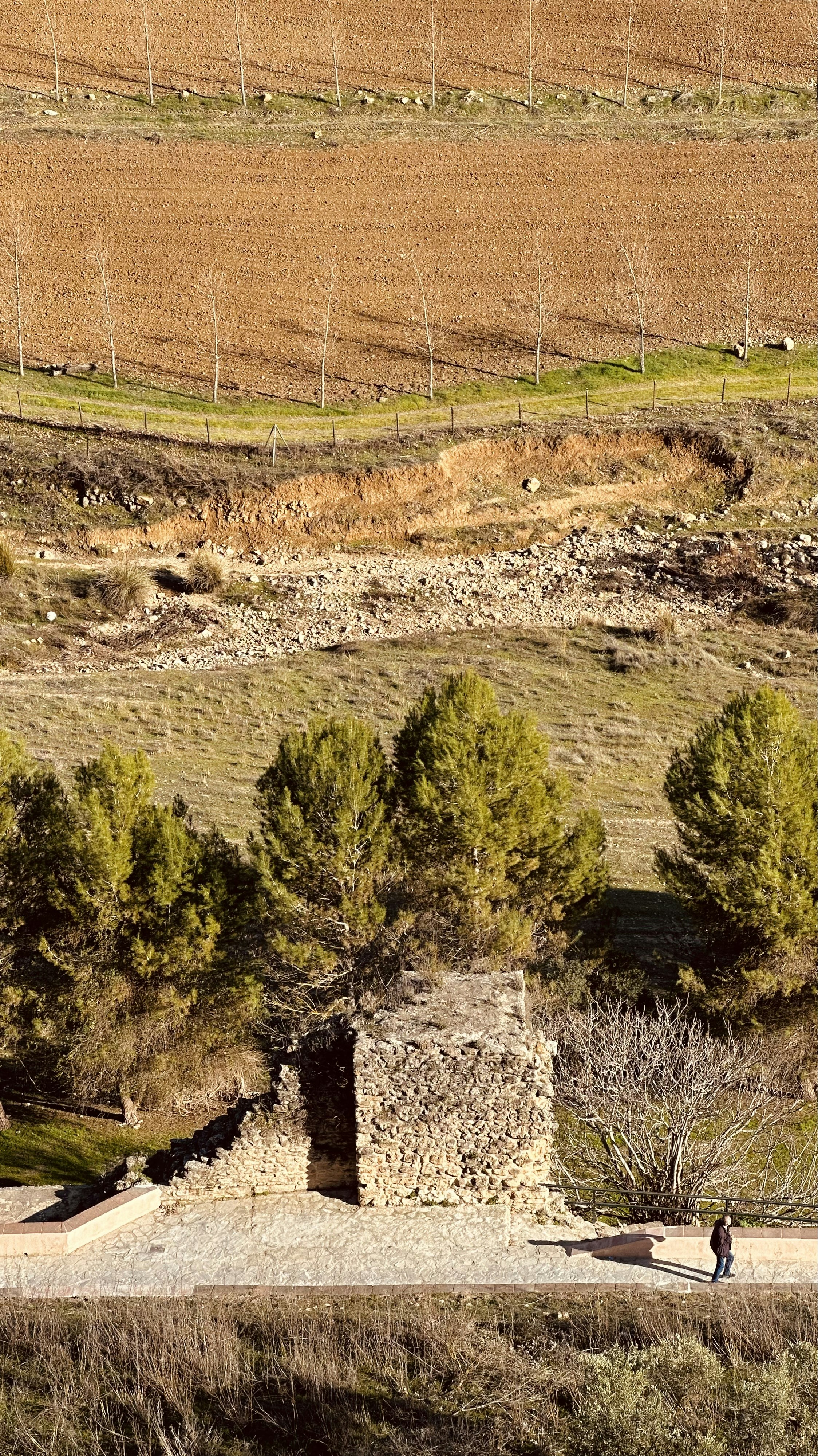 Photo by rodolfobarreto