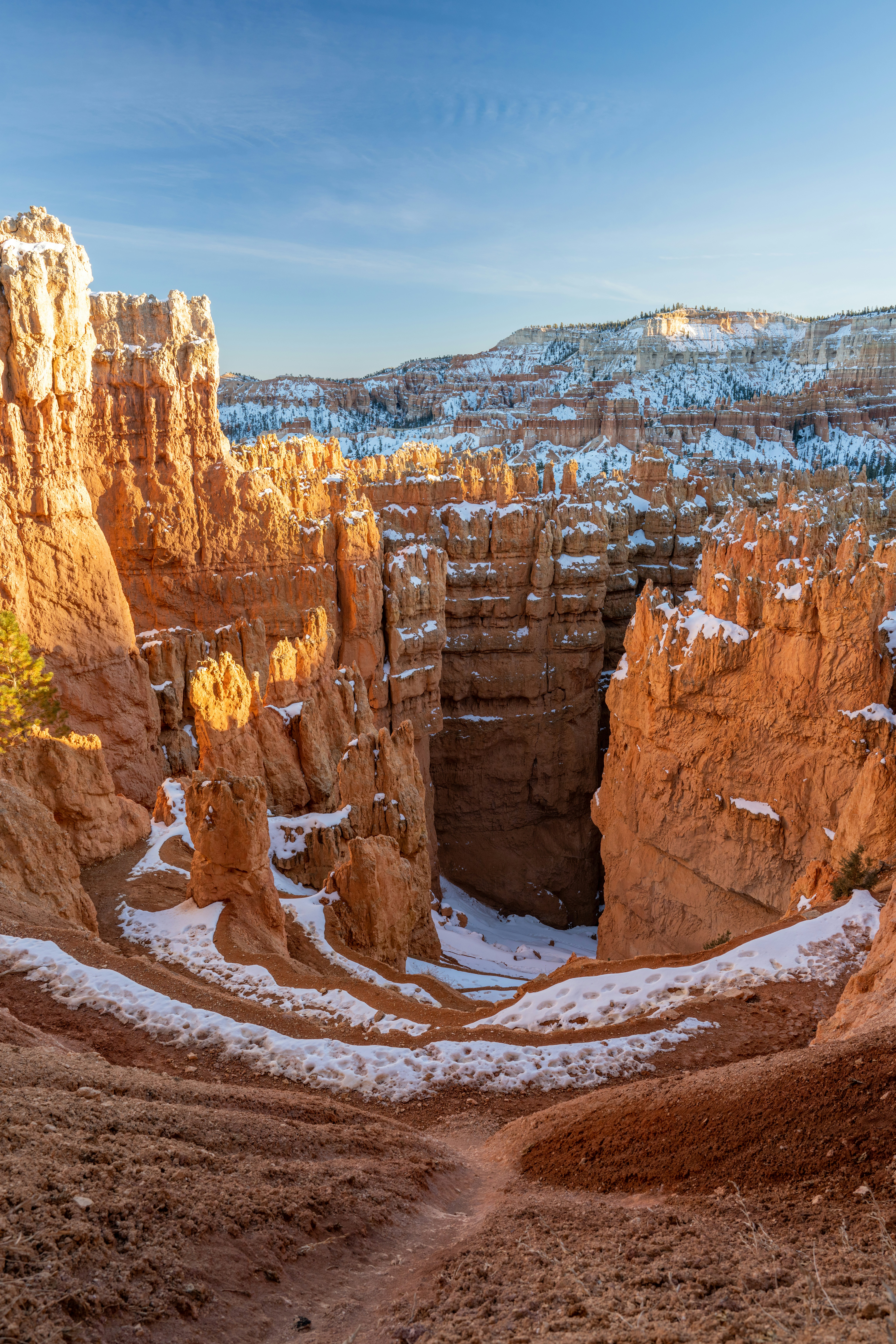 Photo by happy_pixel