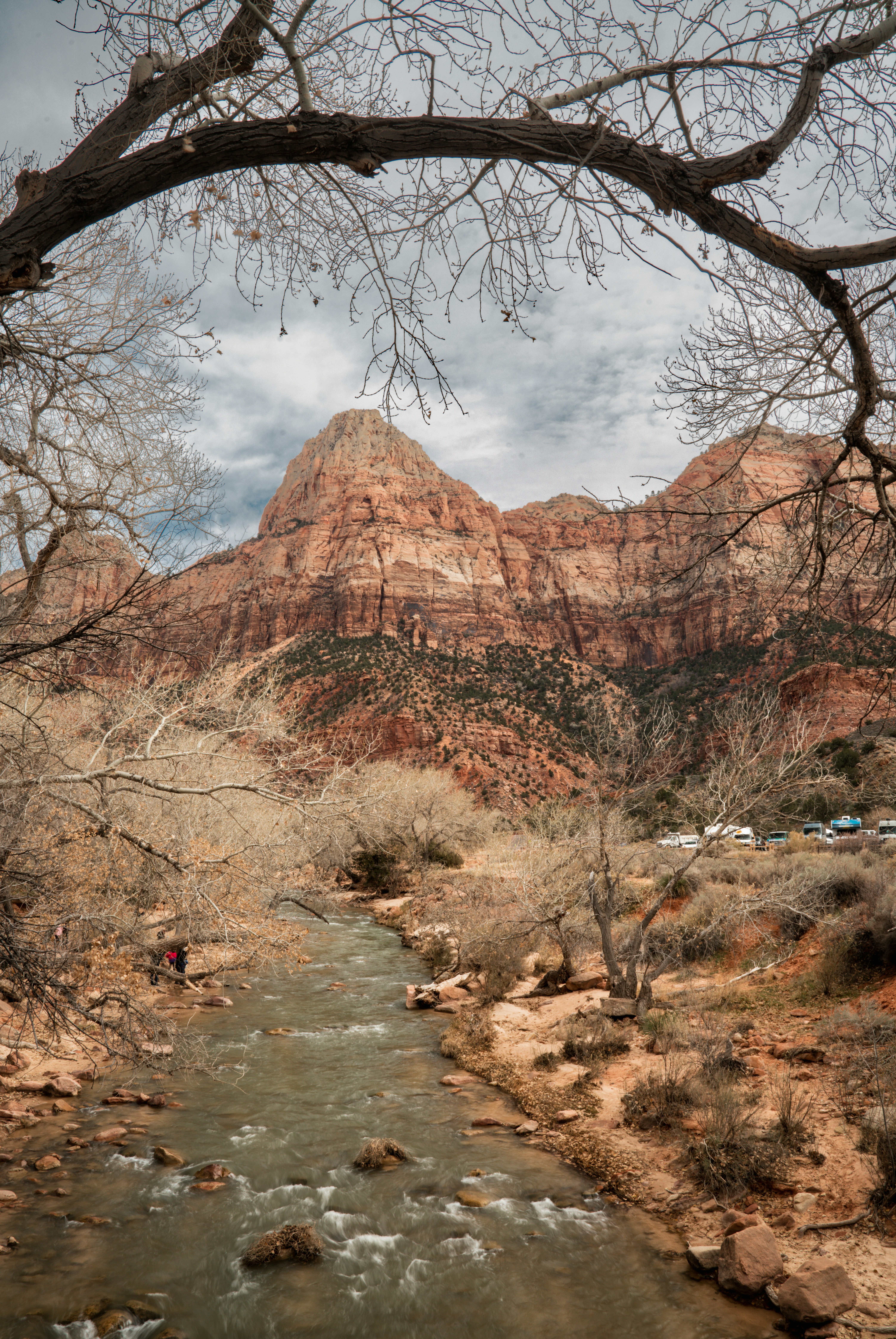 Photo by happy_pixel