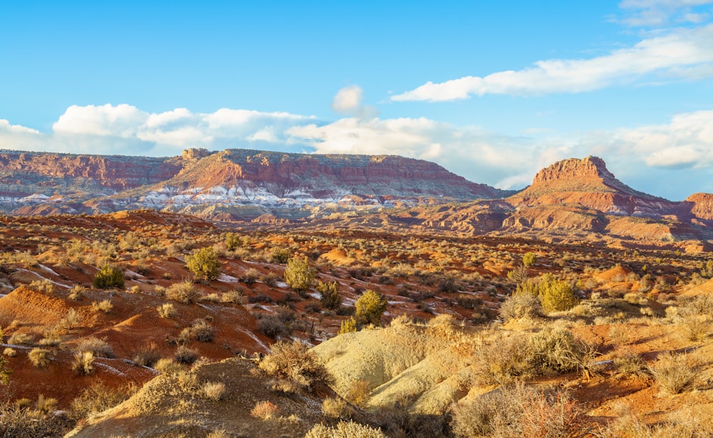 a scenic view of a desert with mountains in the background