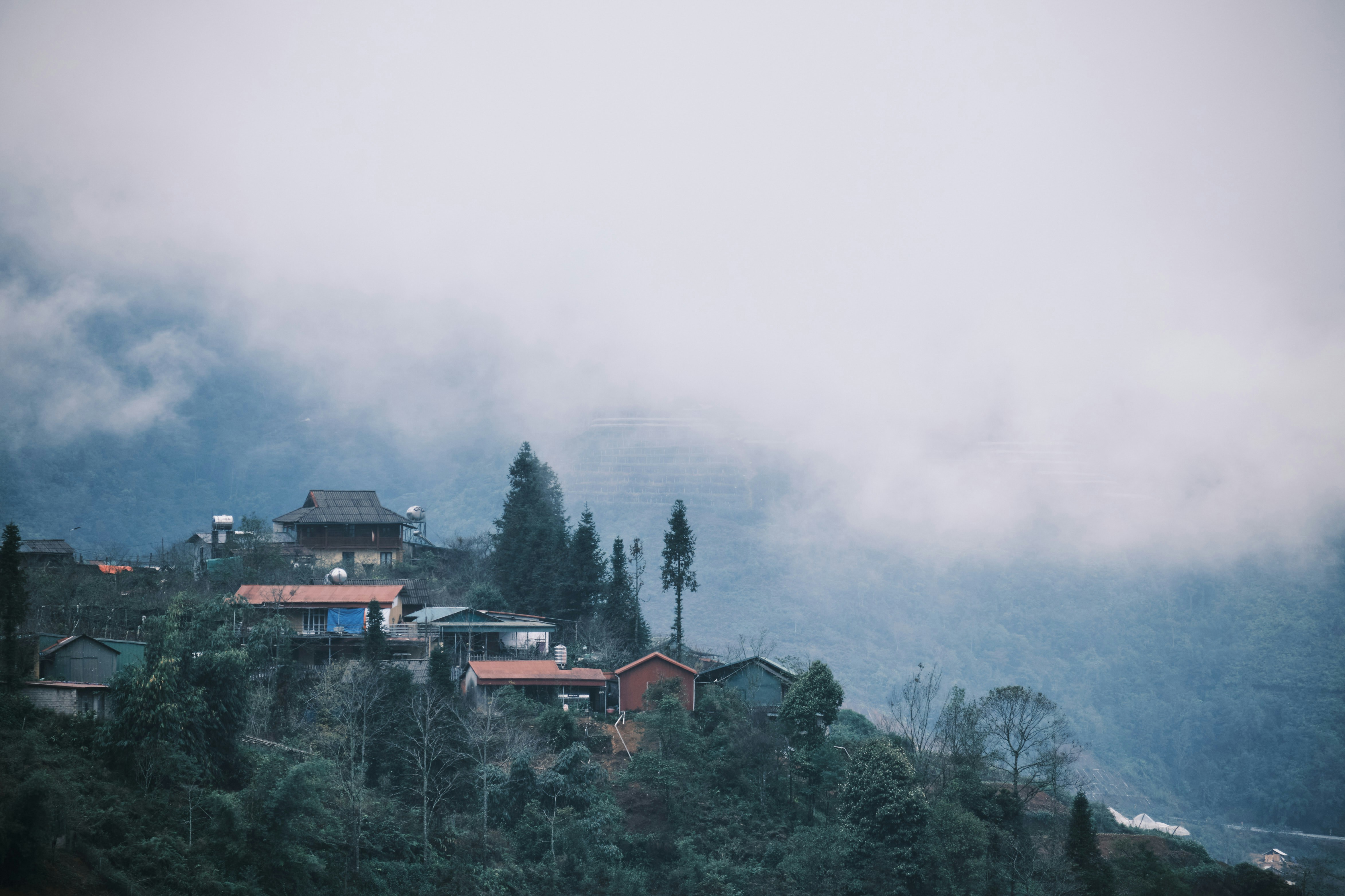 Photo by earlgreyday