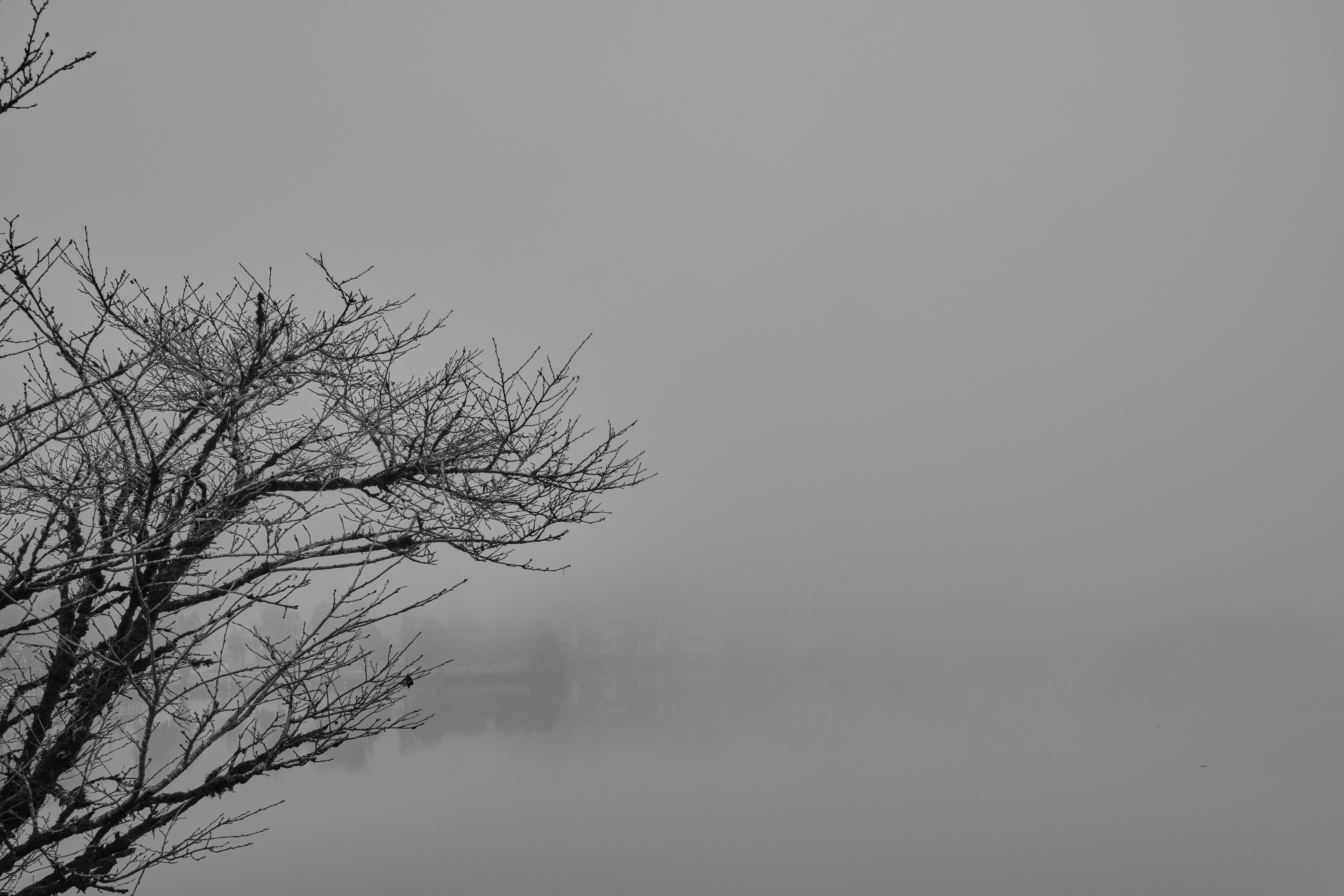 Photo by earlgreyday