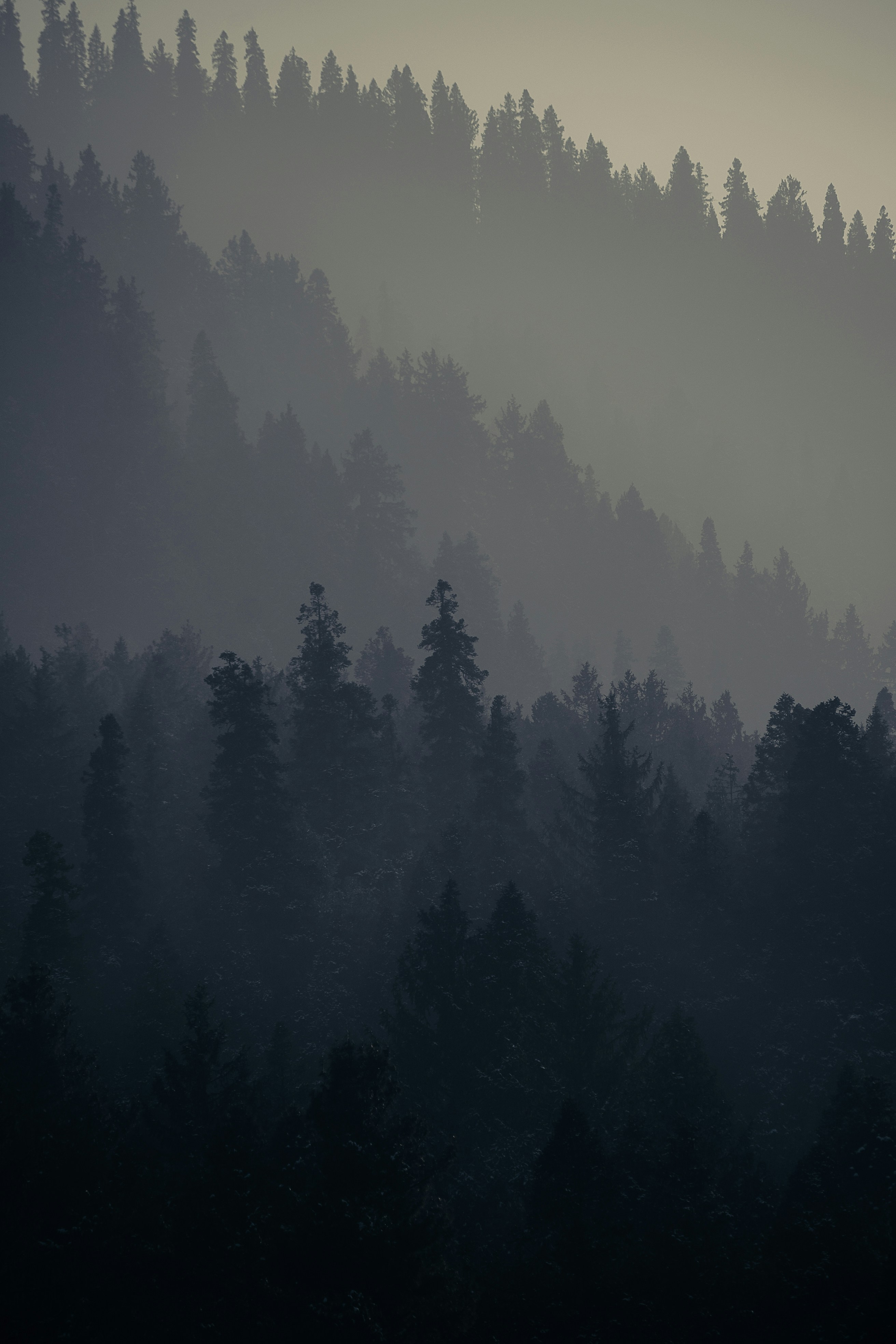 Photo by snehachatterj