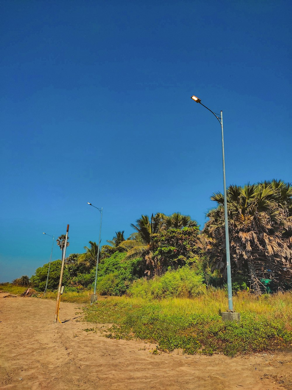 a couple of street lights sitting on top of a lush green field