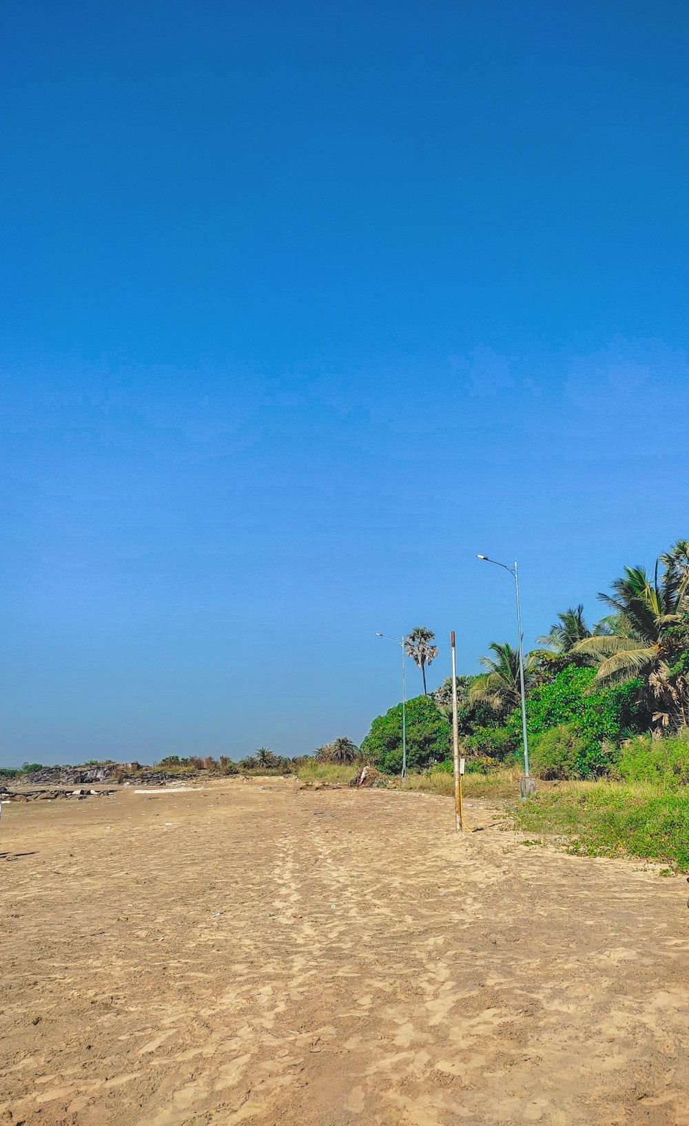a sandy beach with palm trees and a blue sky