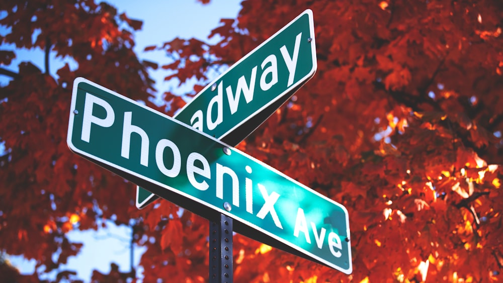 a close up of a street sign with a tree in the background