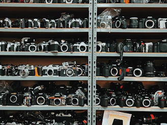 Shelves filled with vintage and modern cameras available for lending.