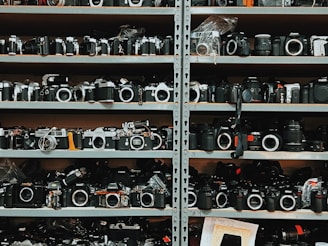 A large collection of vintage and modern cameras arranged on metal shelves, with various brands and models visible. The shelves are filled with multiple rows of cameras, some with lenses attached, and others with body caps in place. There are also camera accessories like straps and lens covers scattered among the cameras.
