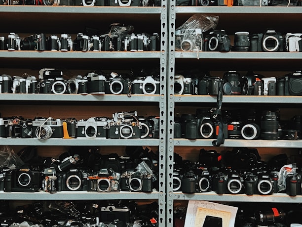 A large collection of vintage and modern cameras arranged on metal shelves, with various brands and models visible. The shelves are filled with multiple rows of cameras, some with lenses attached, and others with body caps in place. There are also camera accessories like straps and lens covers scattered among the cameras.