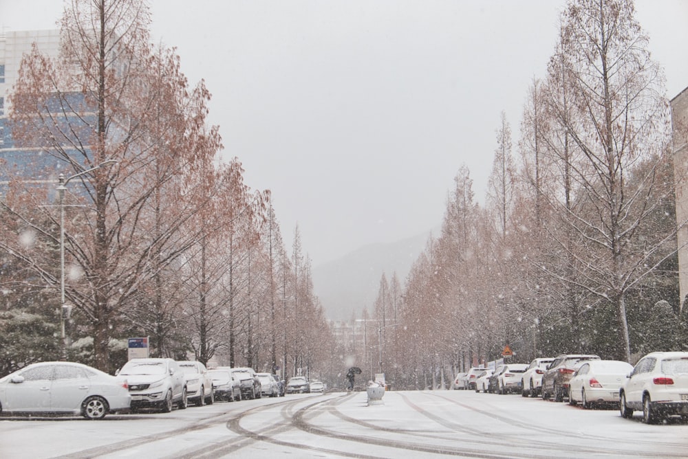 a street filled with lots of snow next to tall buildings