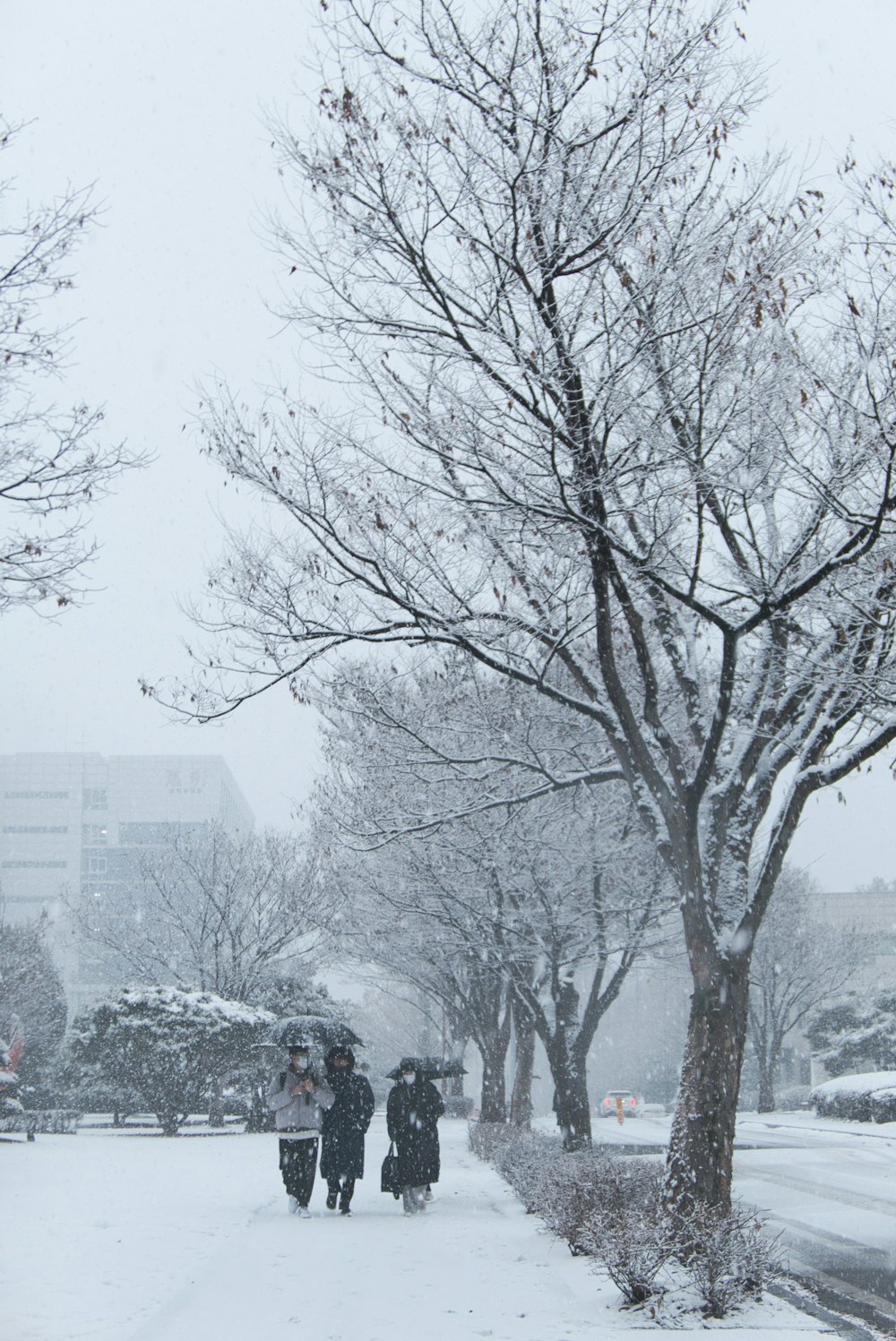 雪に覆われた通りを歩く人々のグループ