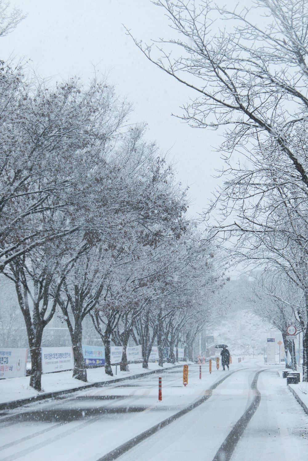 eine schneebedeckte Straße mit Bäumen und Schildern