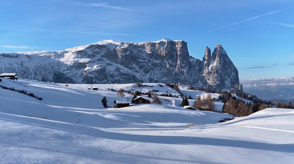 a snowy landscape with mountains in the background