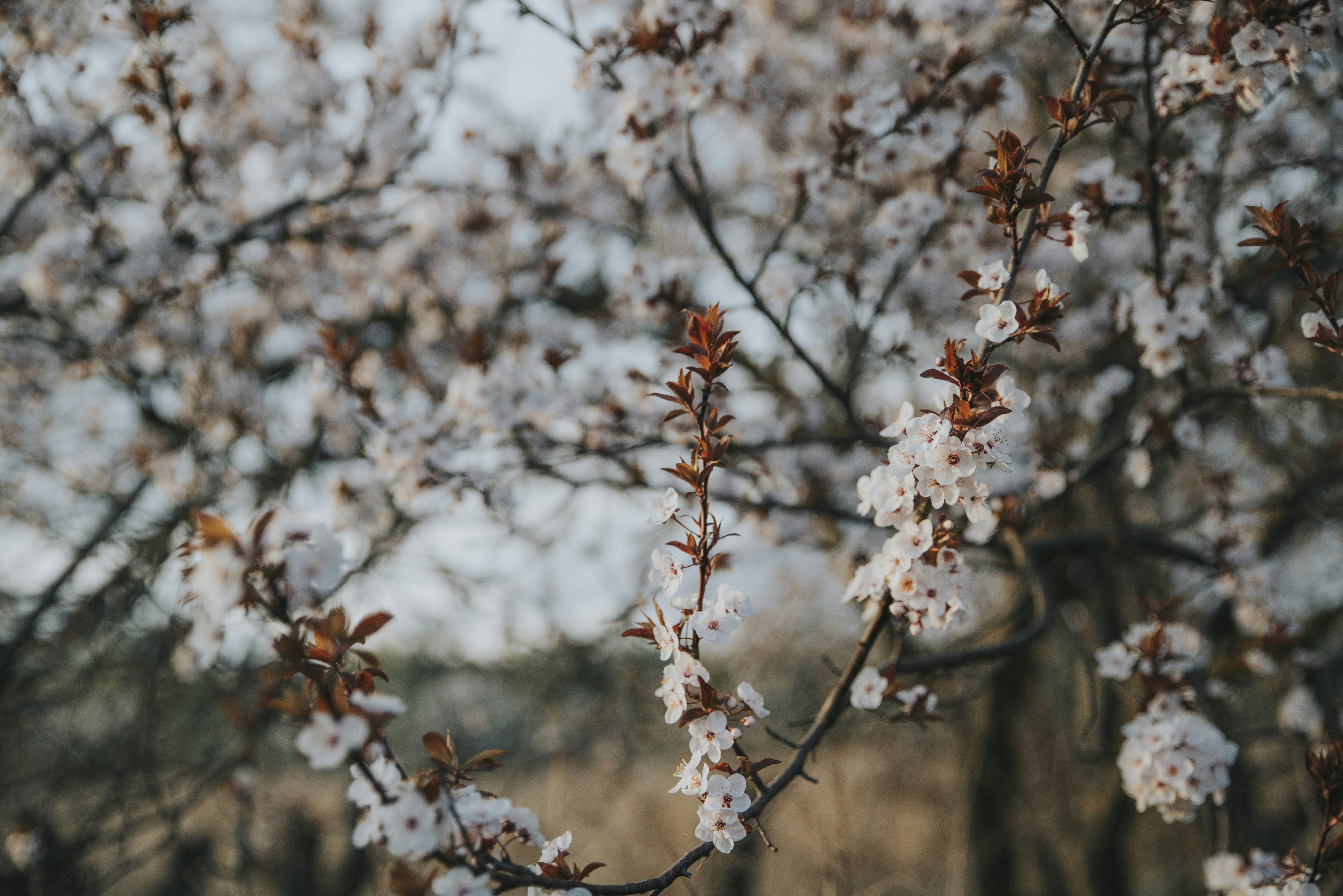 Photo by anitaaustvika