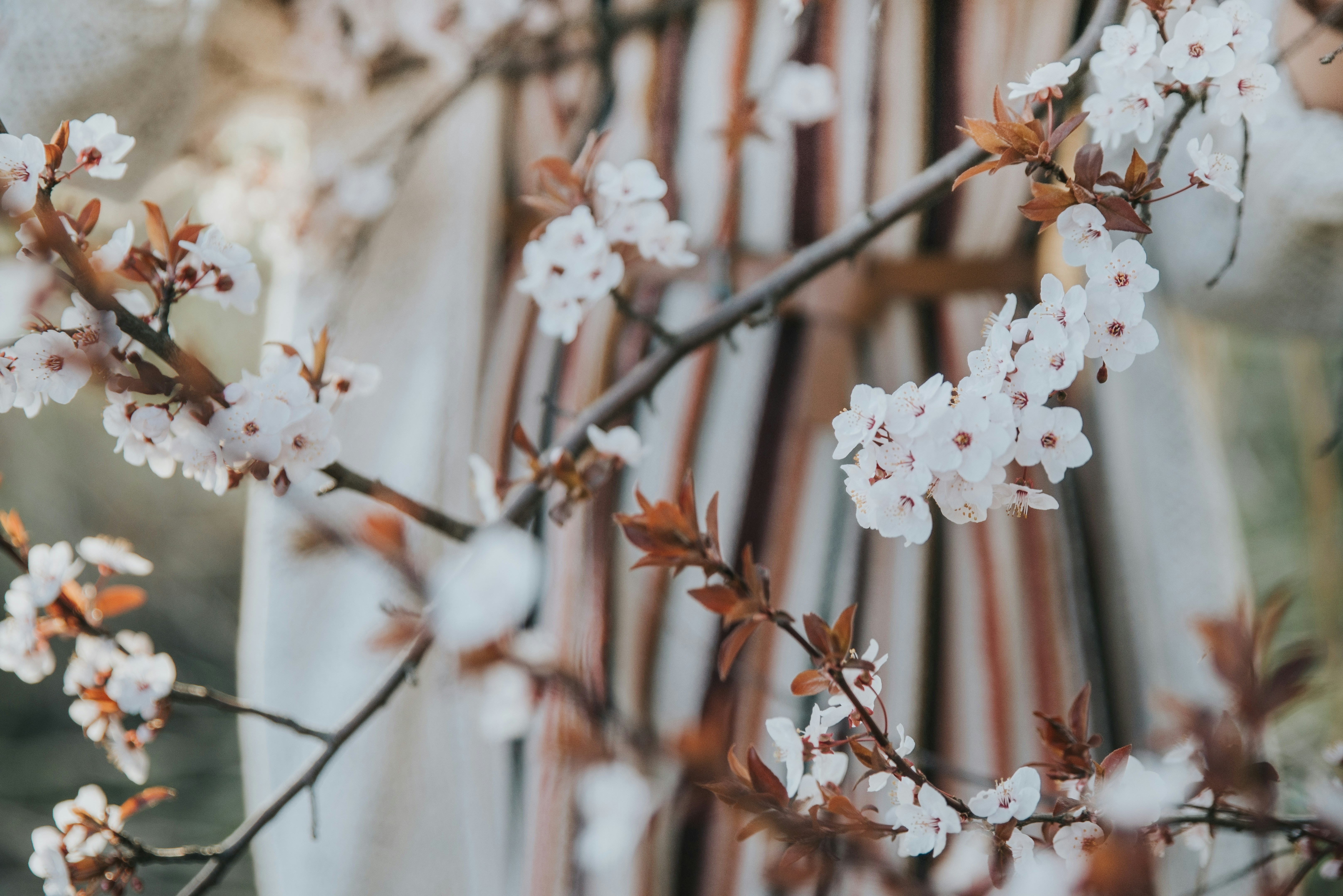 Photo by anitaaustvika