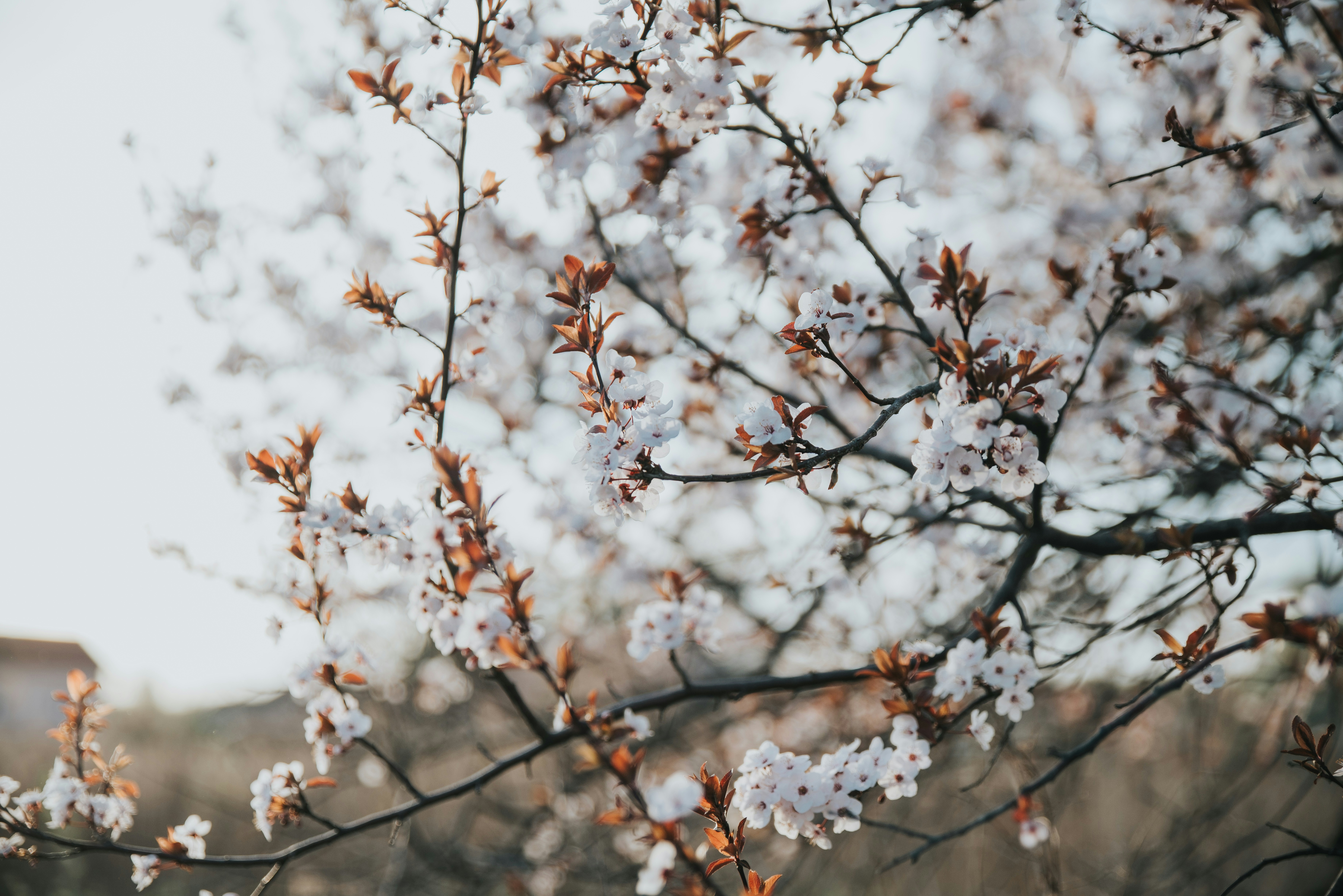 Photo by anitaaustvika