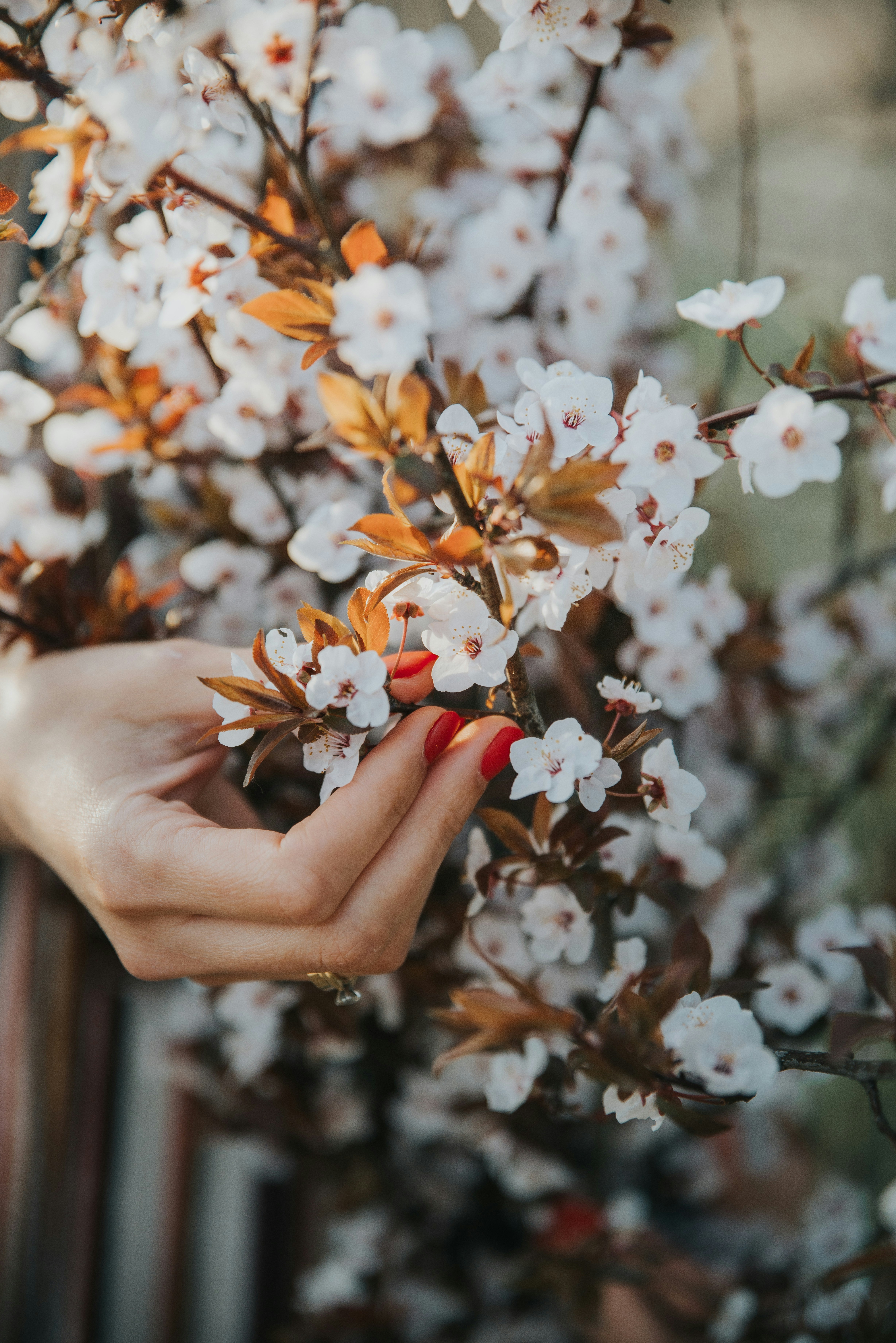 Photo by anitaaustvika