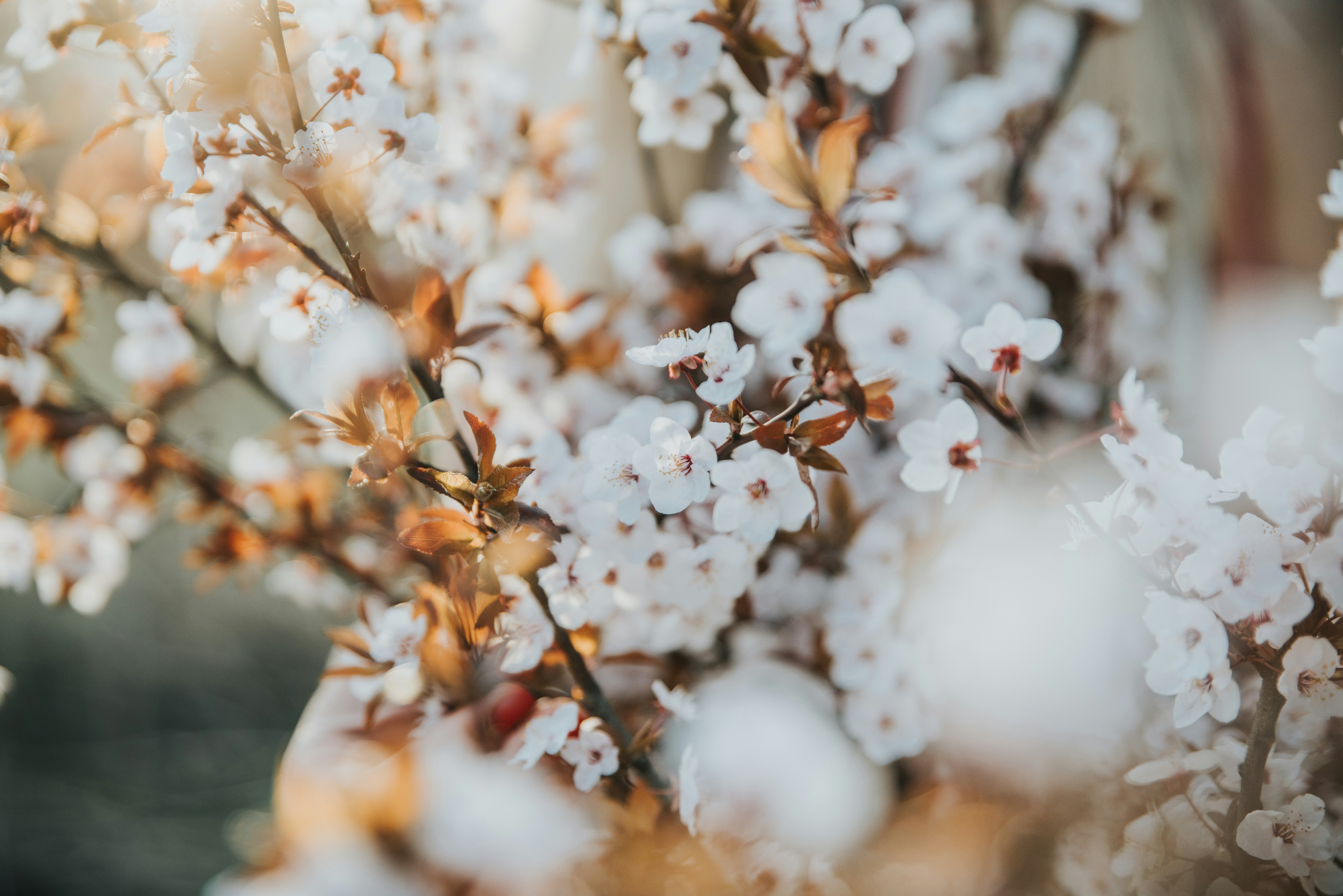 Photo by anitaaustvika