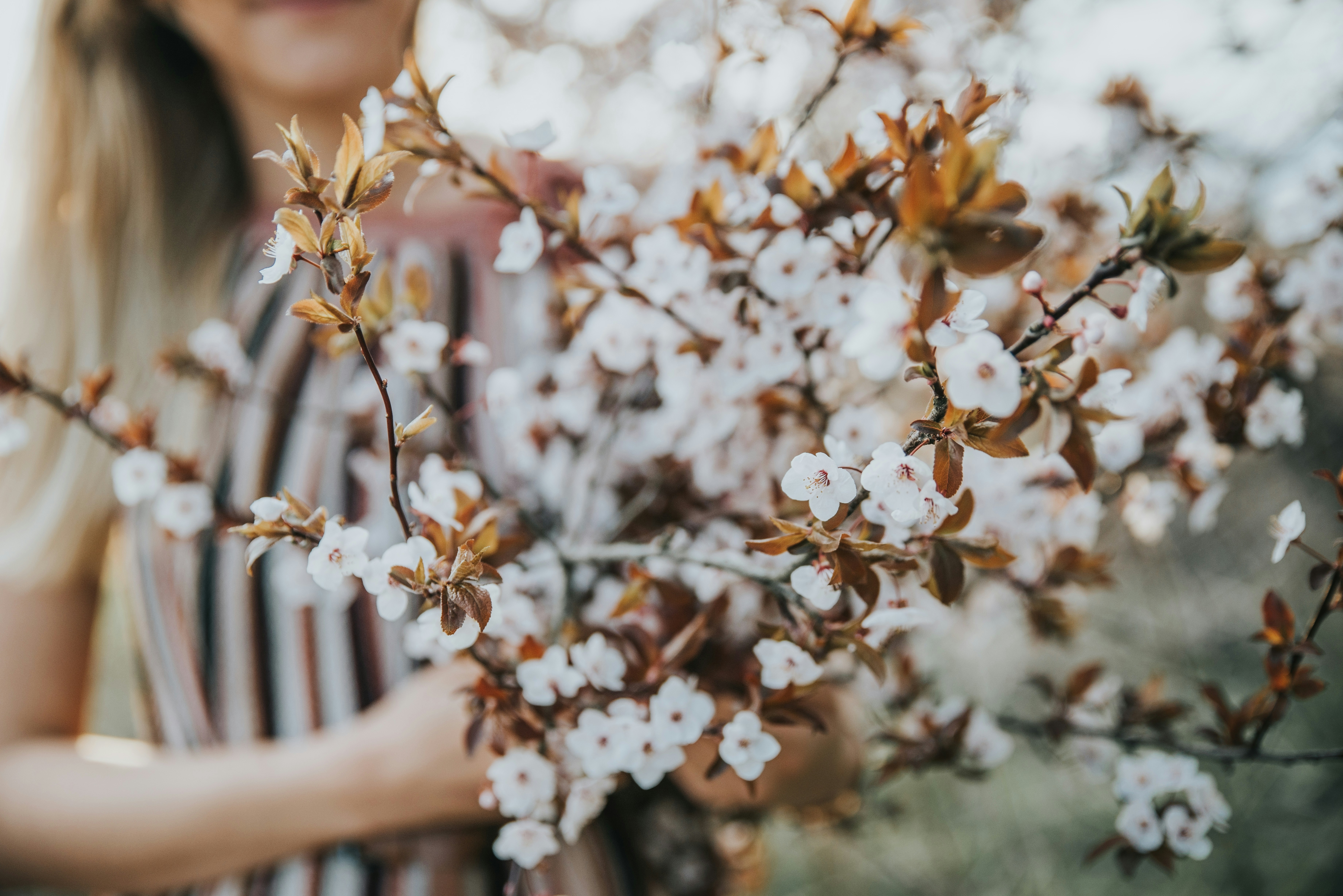 Photo by anitaaustvika