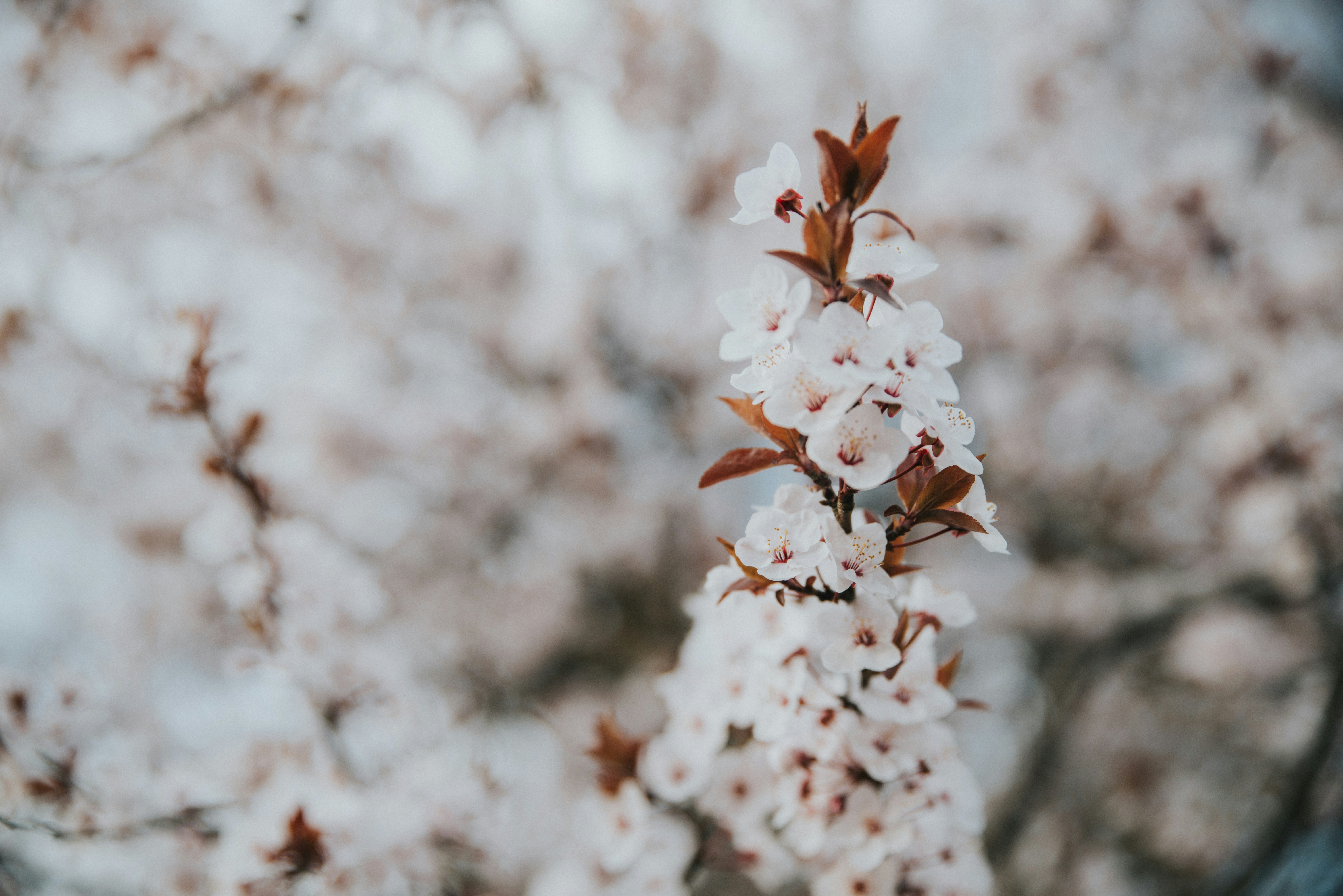 Photo by anitaaustvika