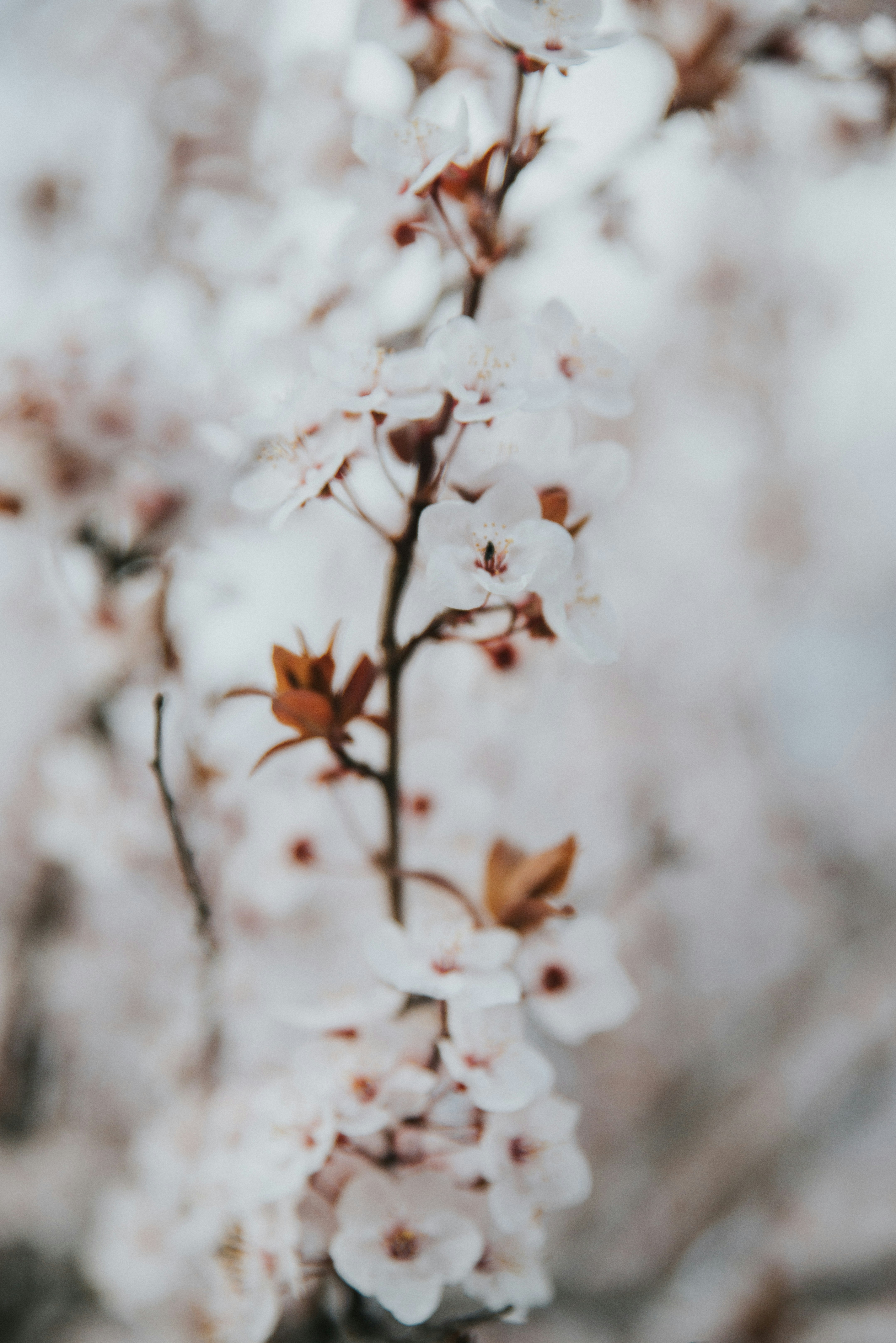 Photo by anitaaustvika