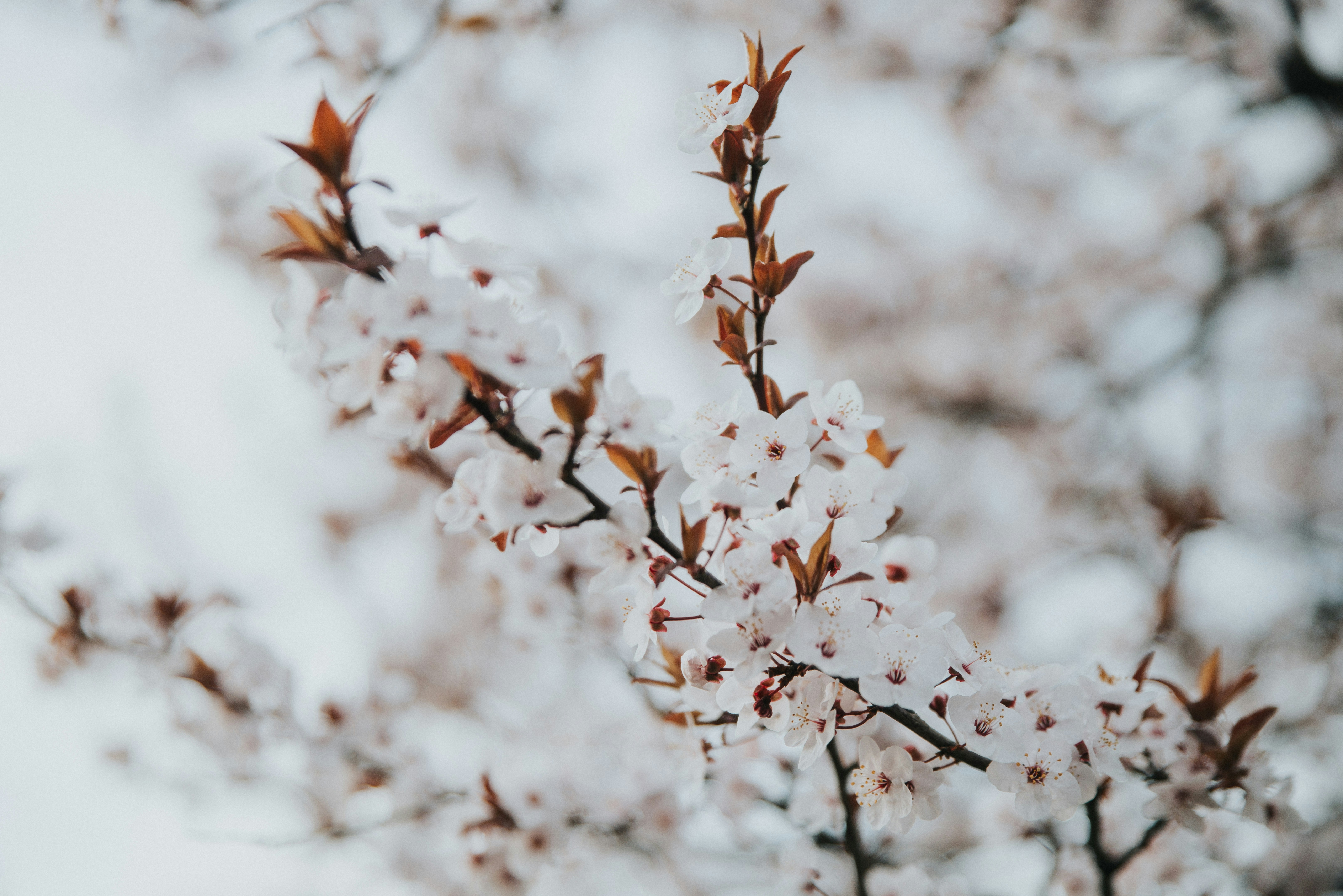 Photo by anitaaustvika