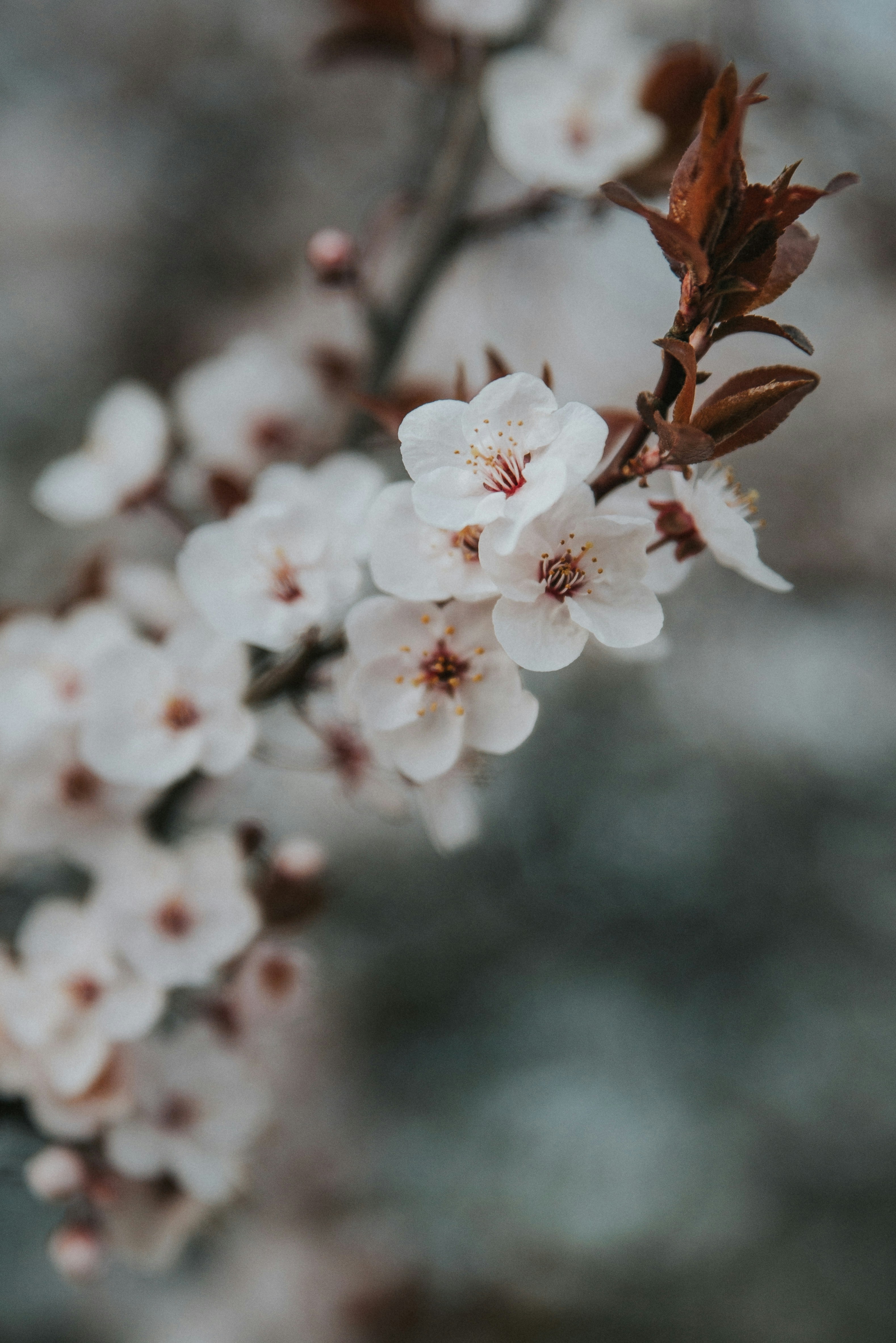 Photo by anitaaustvika