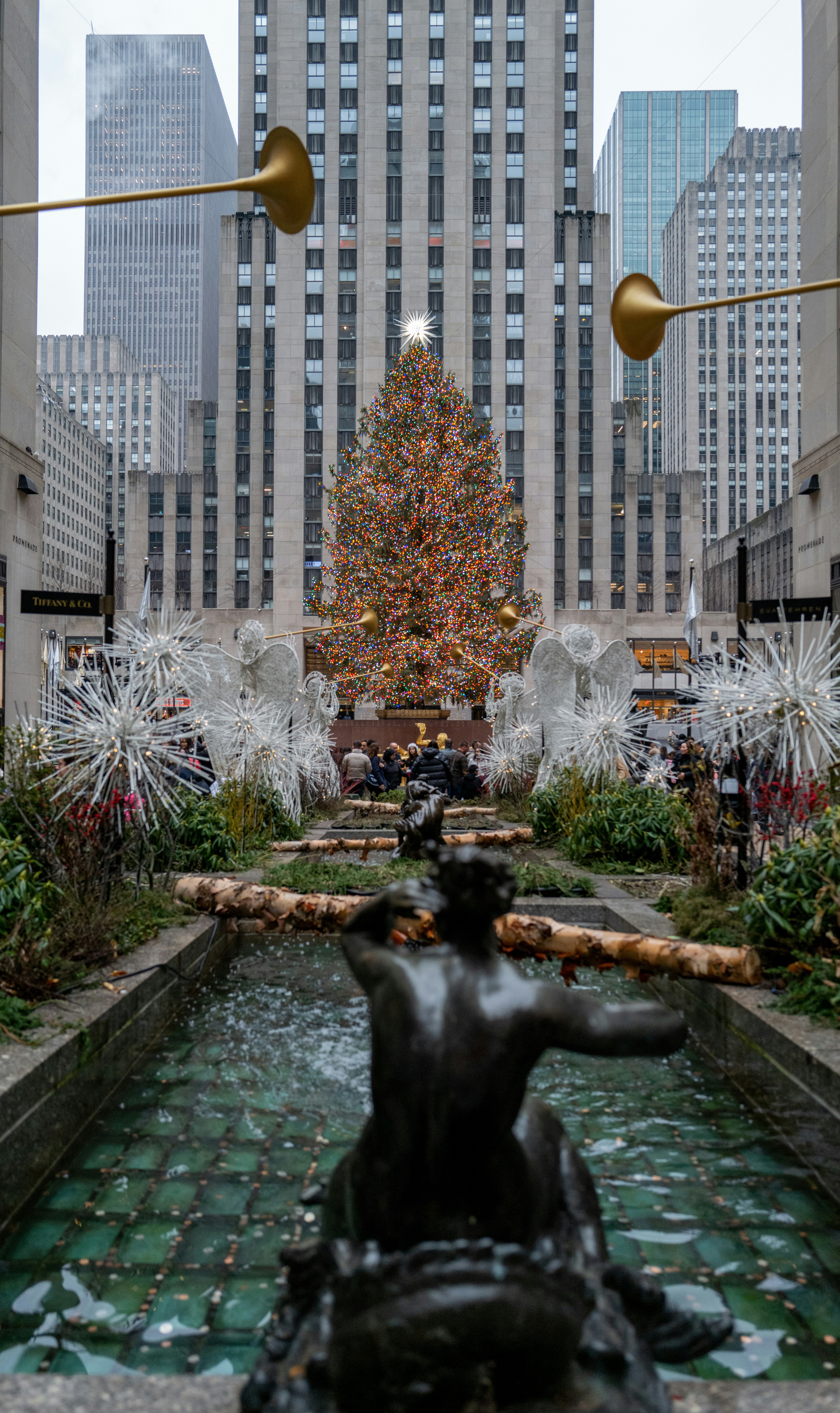 a large christmas tree in the middle of a city