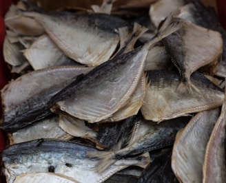 A pile of dried fish with a rough texture, displaying a range of grayish and brown tones. The fish are arranged haphazardly, showcasing their thin, flattened bodies with visible scales and fins.