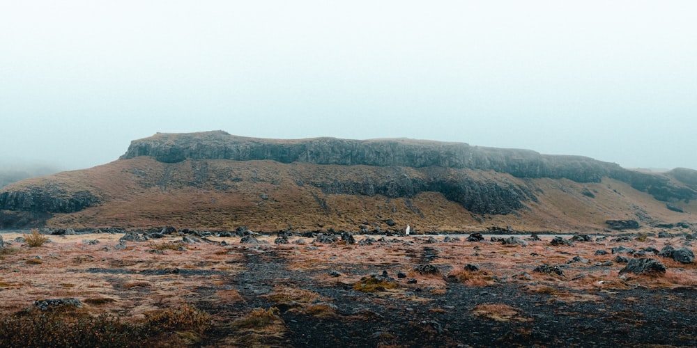 a foggy landscape with a mountain in the background