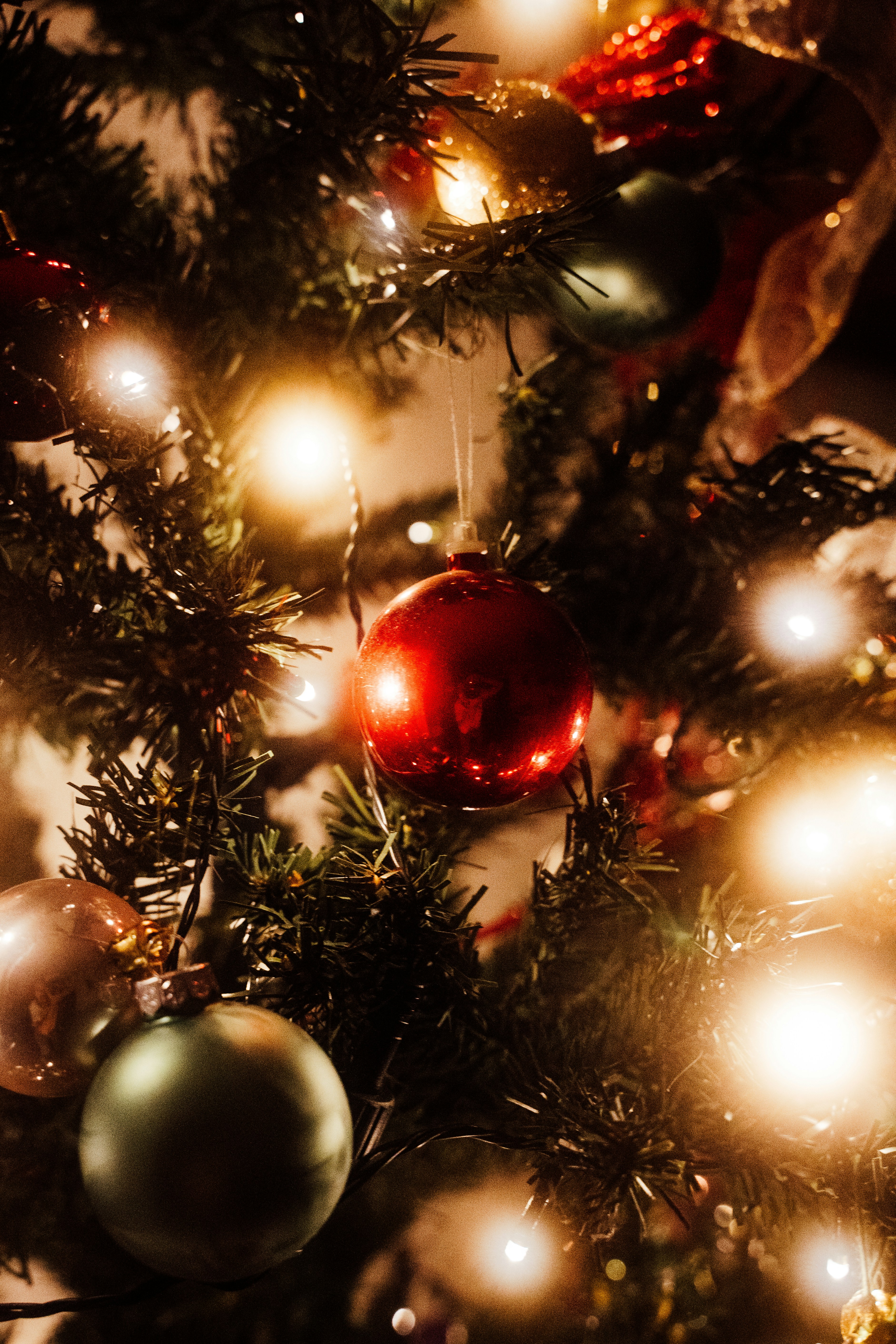 Photo by real_jansen