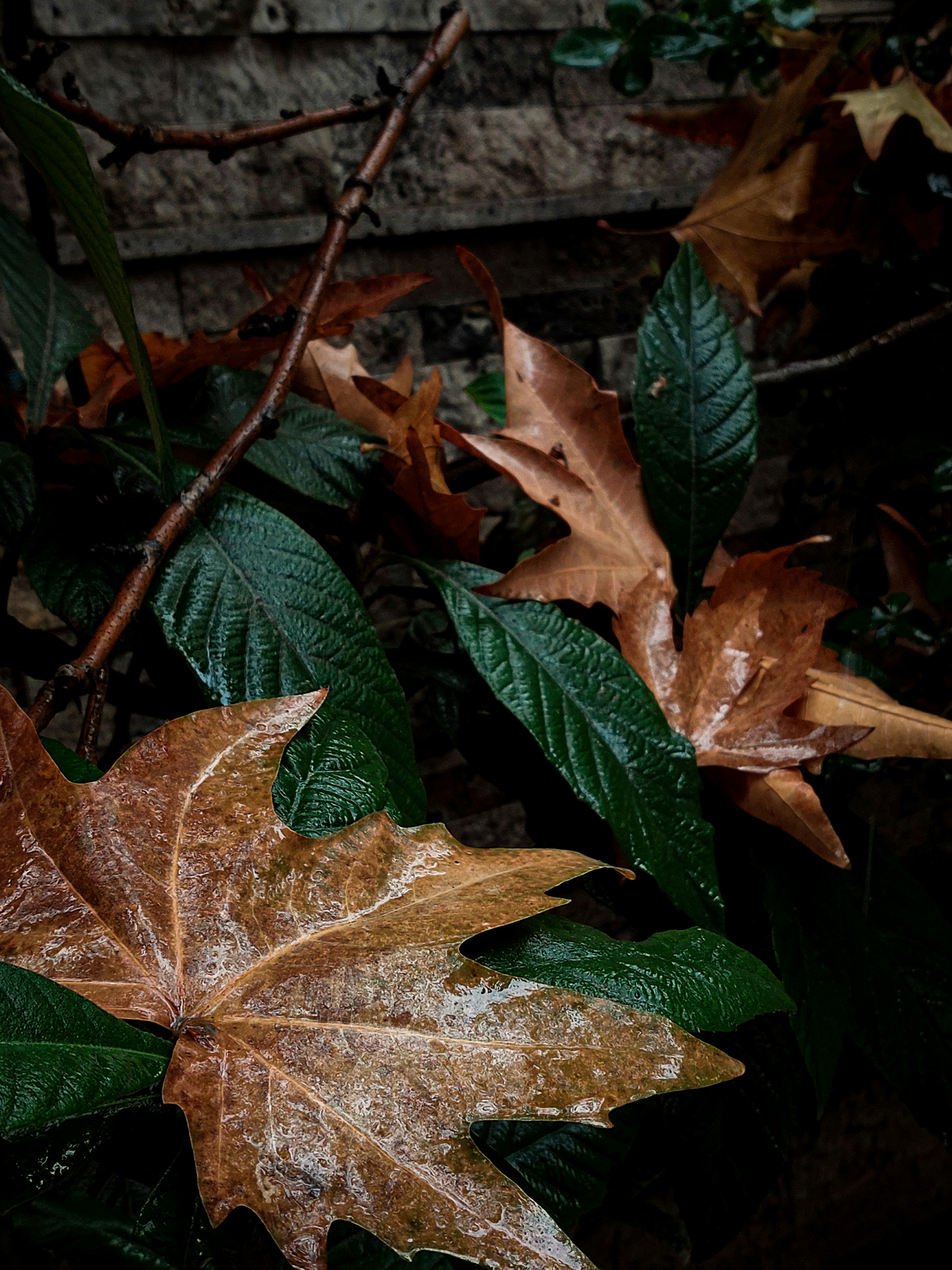 Photo by amirhasanemami