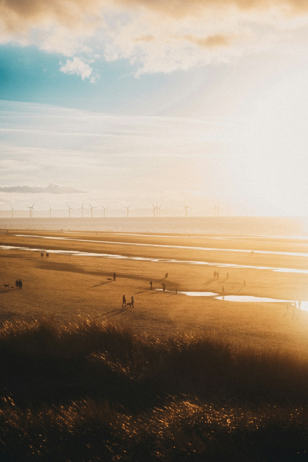 the sun is shining over a field of grass