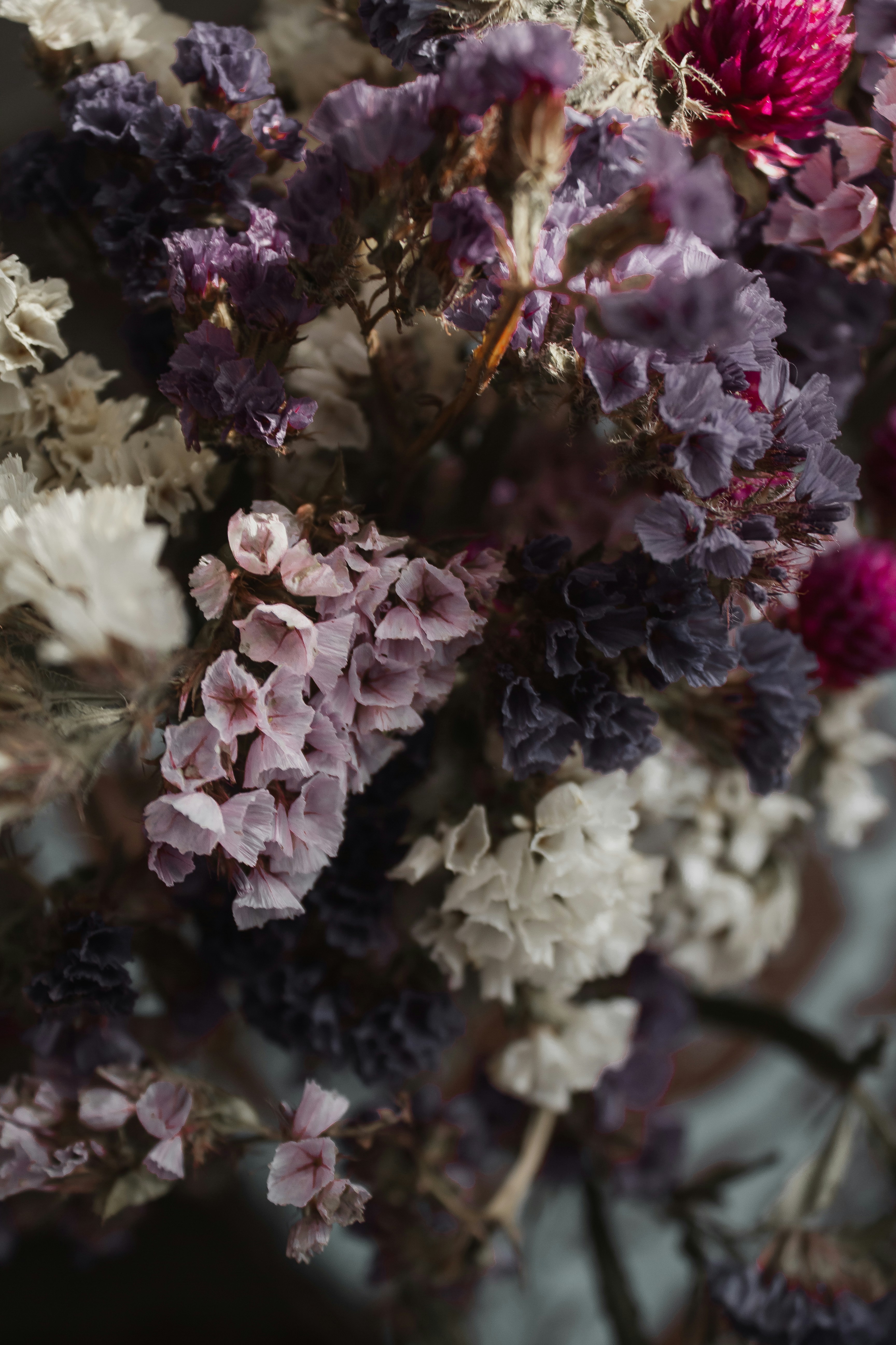 Photo by svitlana_rusak