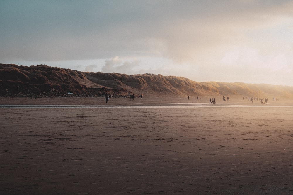 a group of people standing on top of a sandy beach