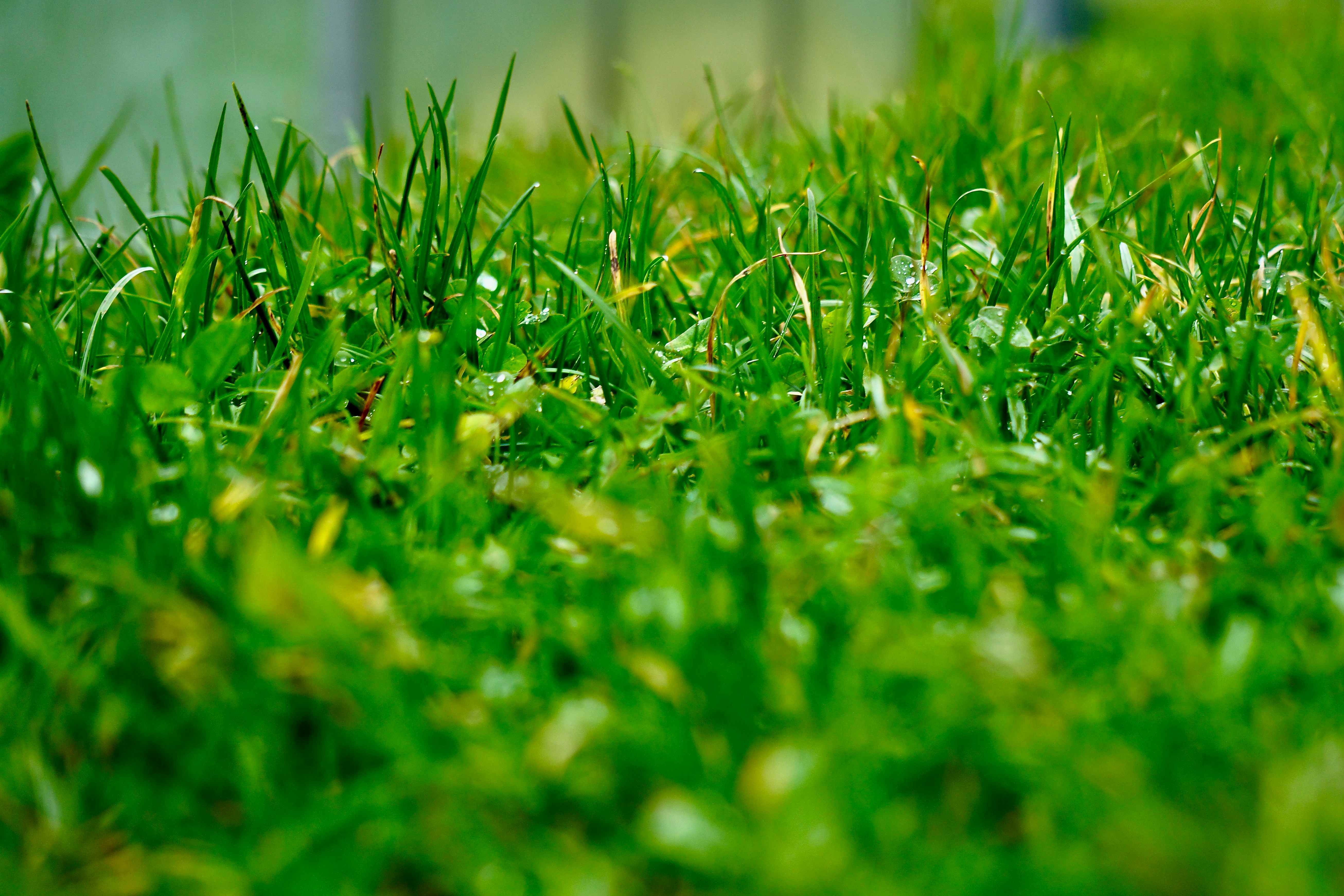 Photo by peterburdon